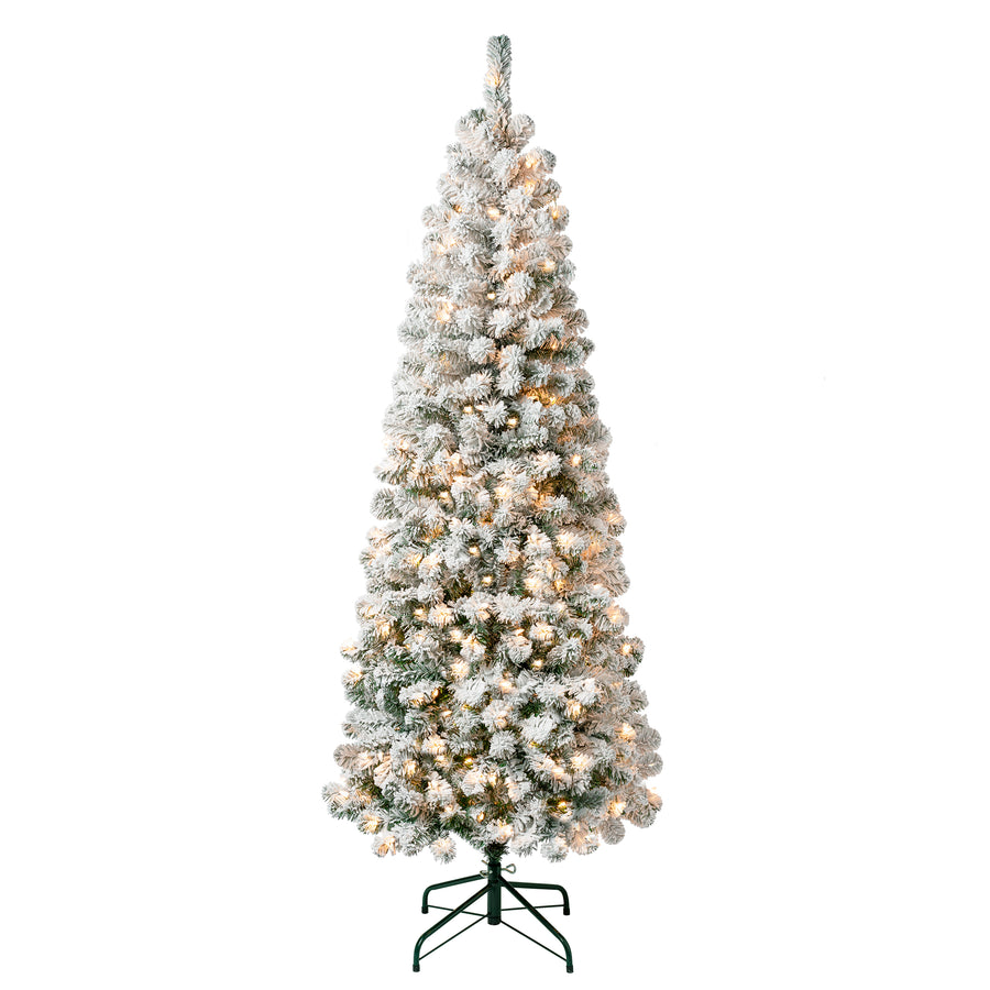 6 ft. Pre-Lit Acacia Medium Flocked Tree with Clear Lights