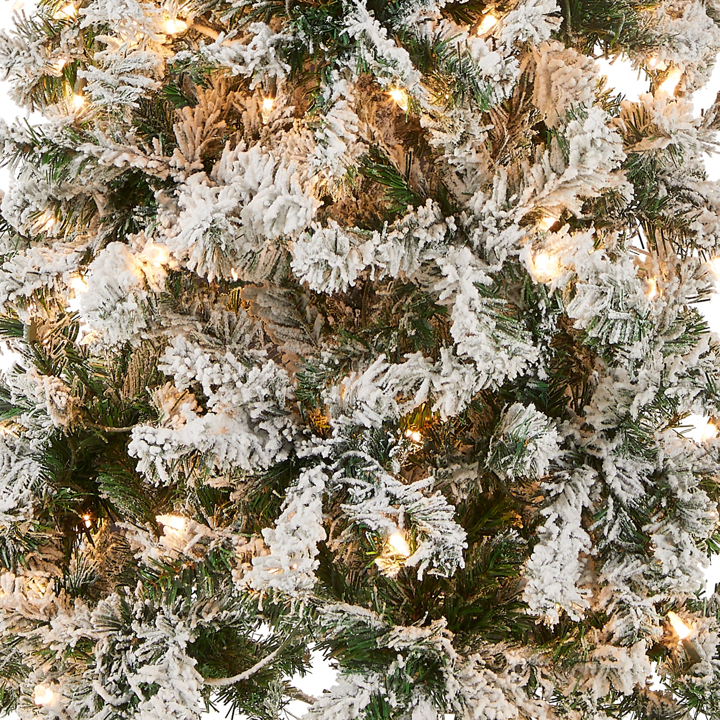 6 ft. Pre-Lit Acacia Medium Flocked Tree with Clear Lights