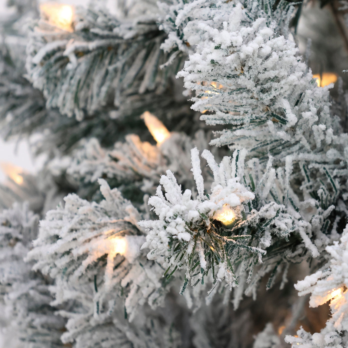 6 ft. Pre-Lit Acacia Flocked Tree with Clear Lights