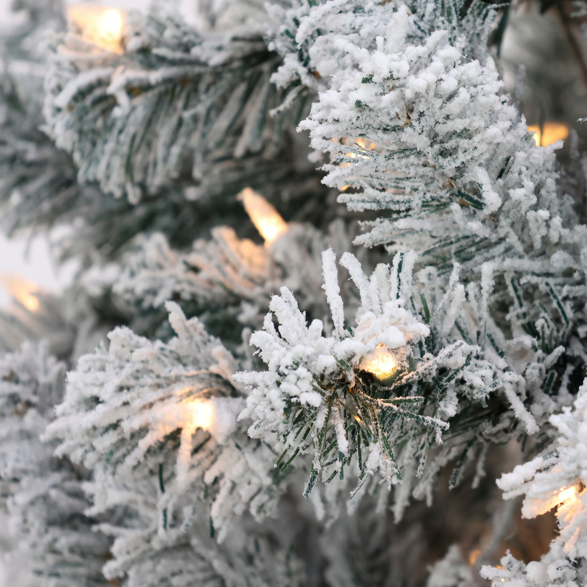 6 ft. Pre-Lit Acacia Flocked Tree with Clear Lights