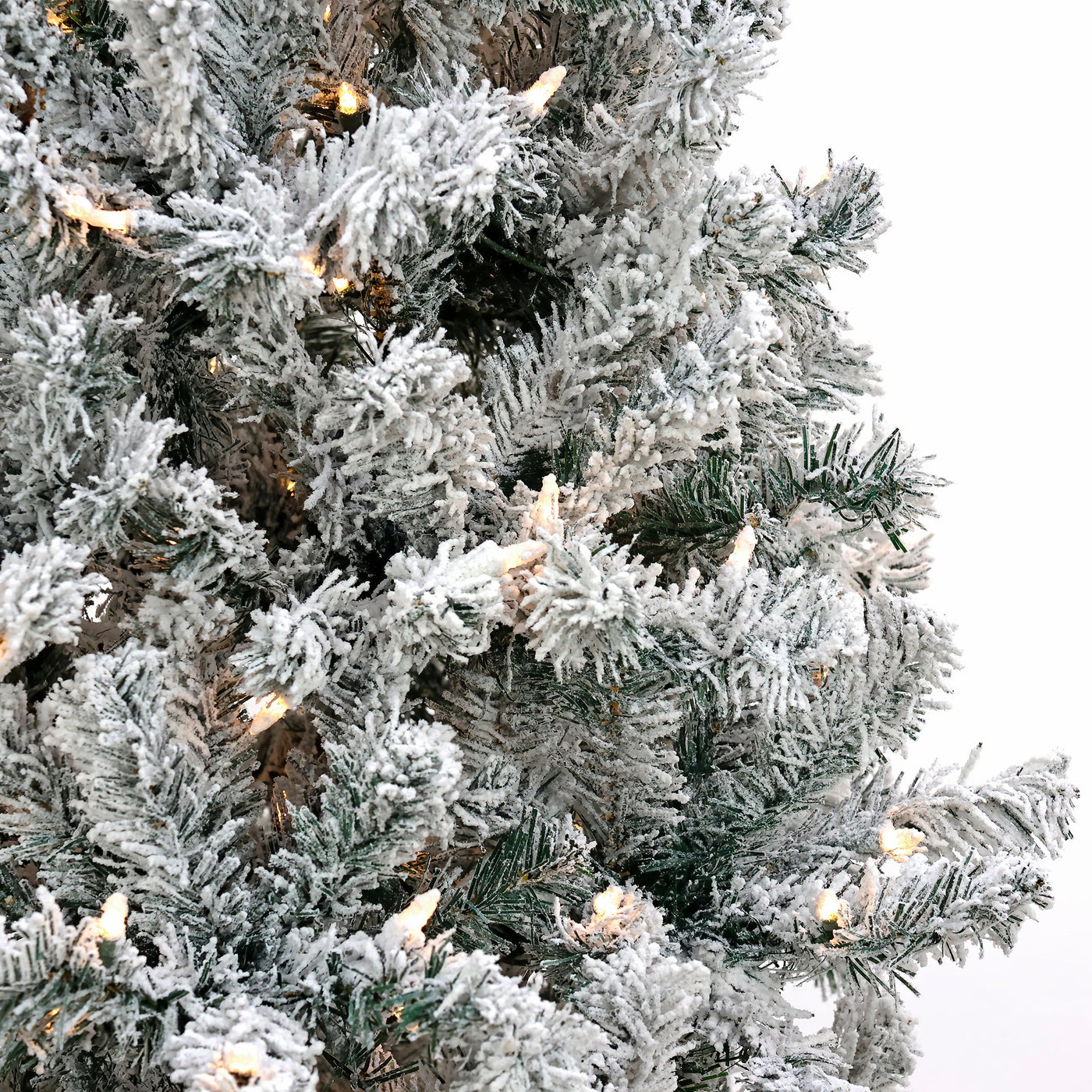 6 ft. Pre-Lit Acacia Flocked Tree with Clear Lights