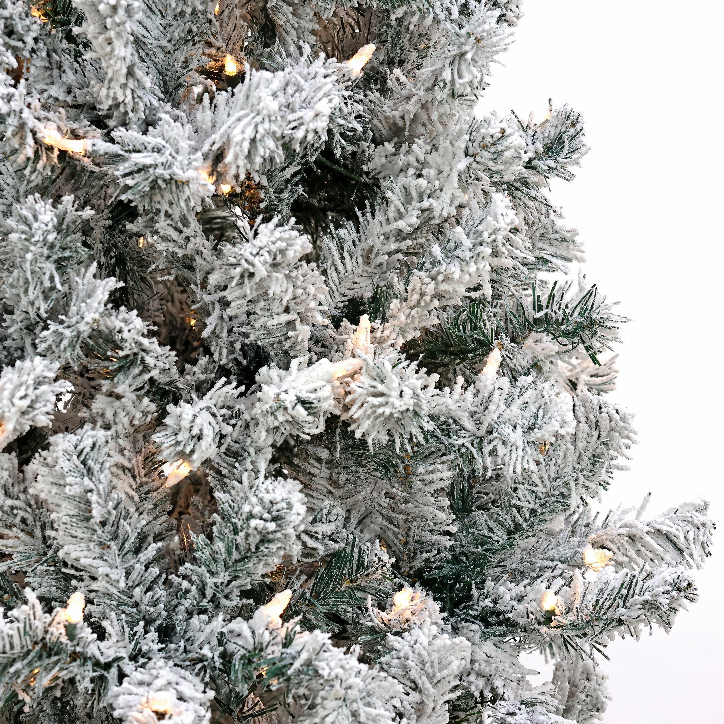 6 ft. Pre-Lit Acacia Flocked Tree with Clear Lights