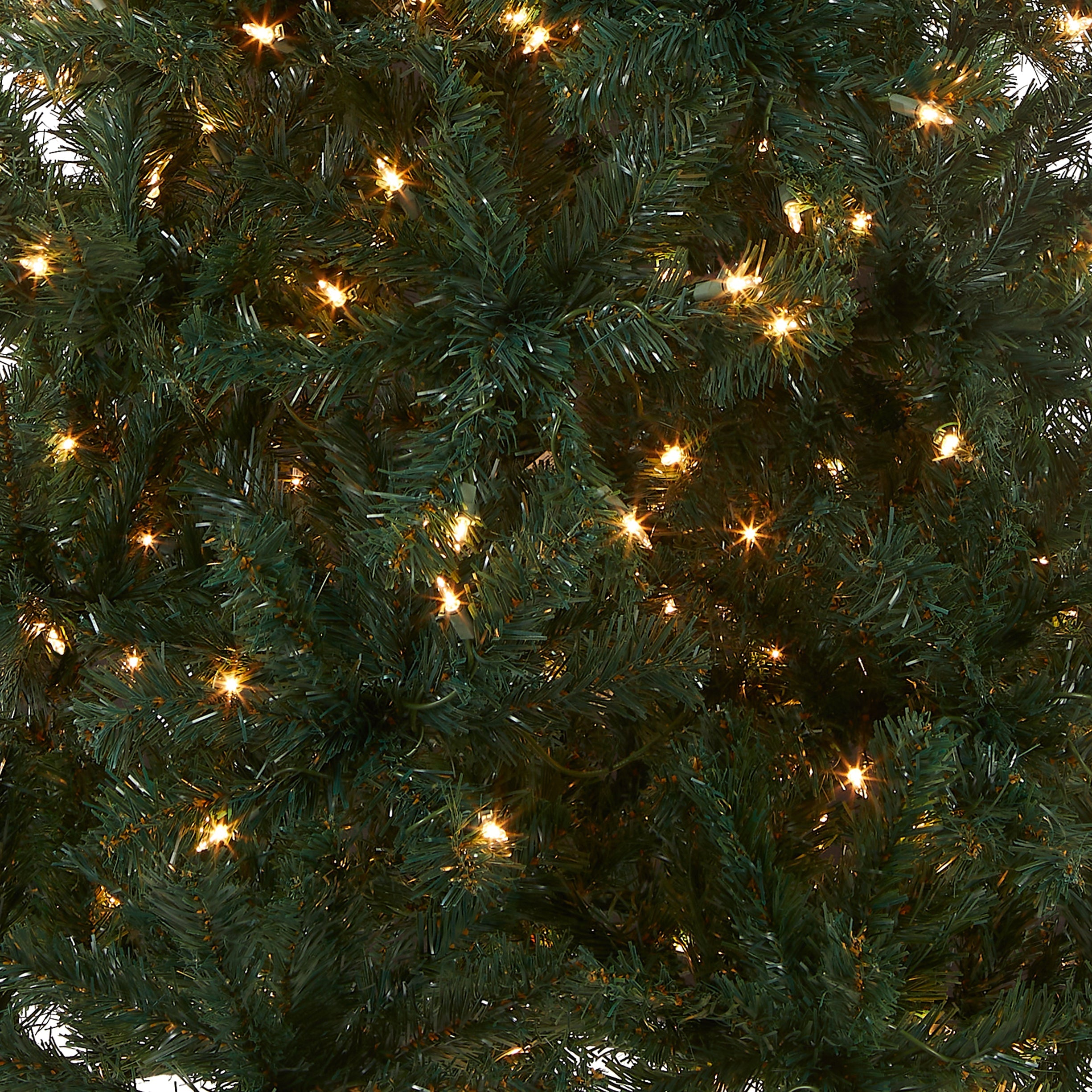 6 ft. Pre-Lit Acacia Tree with Clear Lights