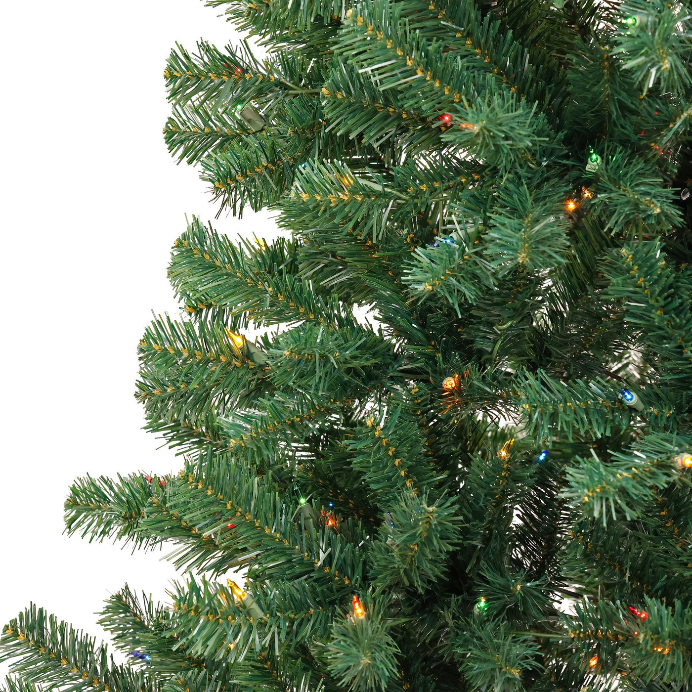 6 ft. Acacia Tree with Multicolor Lights