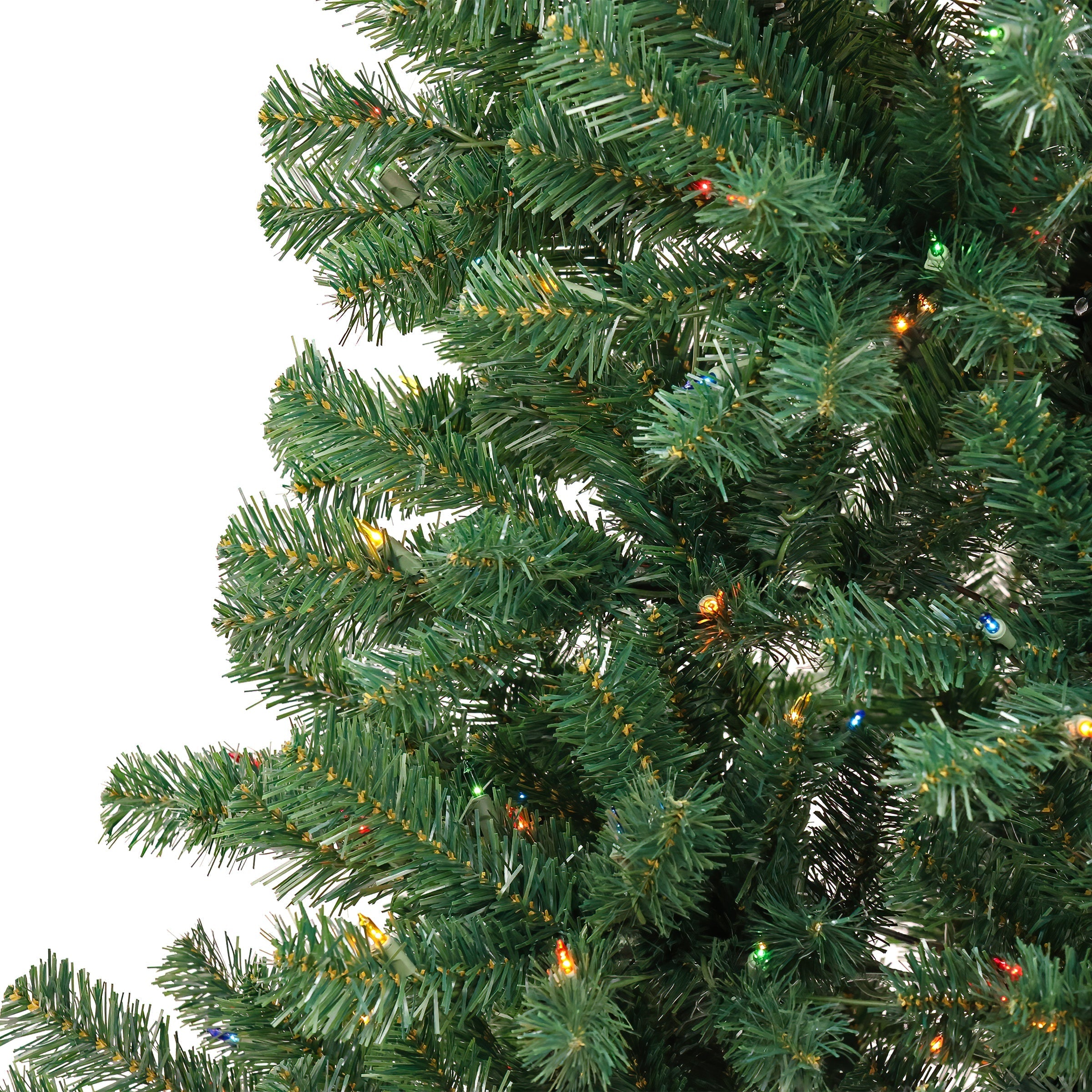 6 ft. Acacia Tree with Multicolor Lights