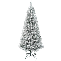 6 ft. Acacia Flocked Tree