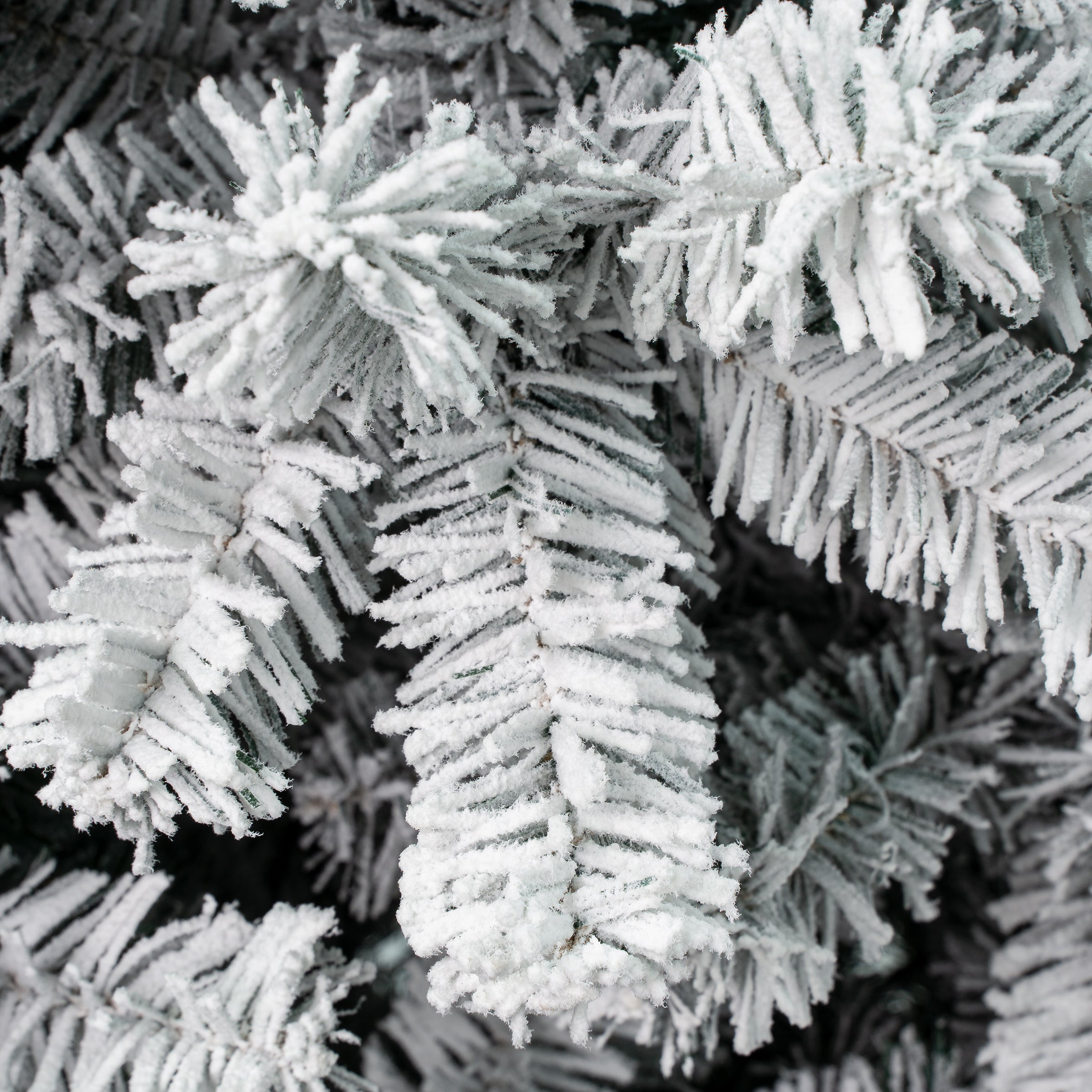 7.5 ft. Acacia Medium Flocked Tree