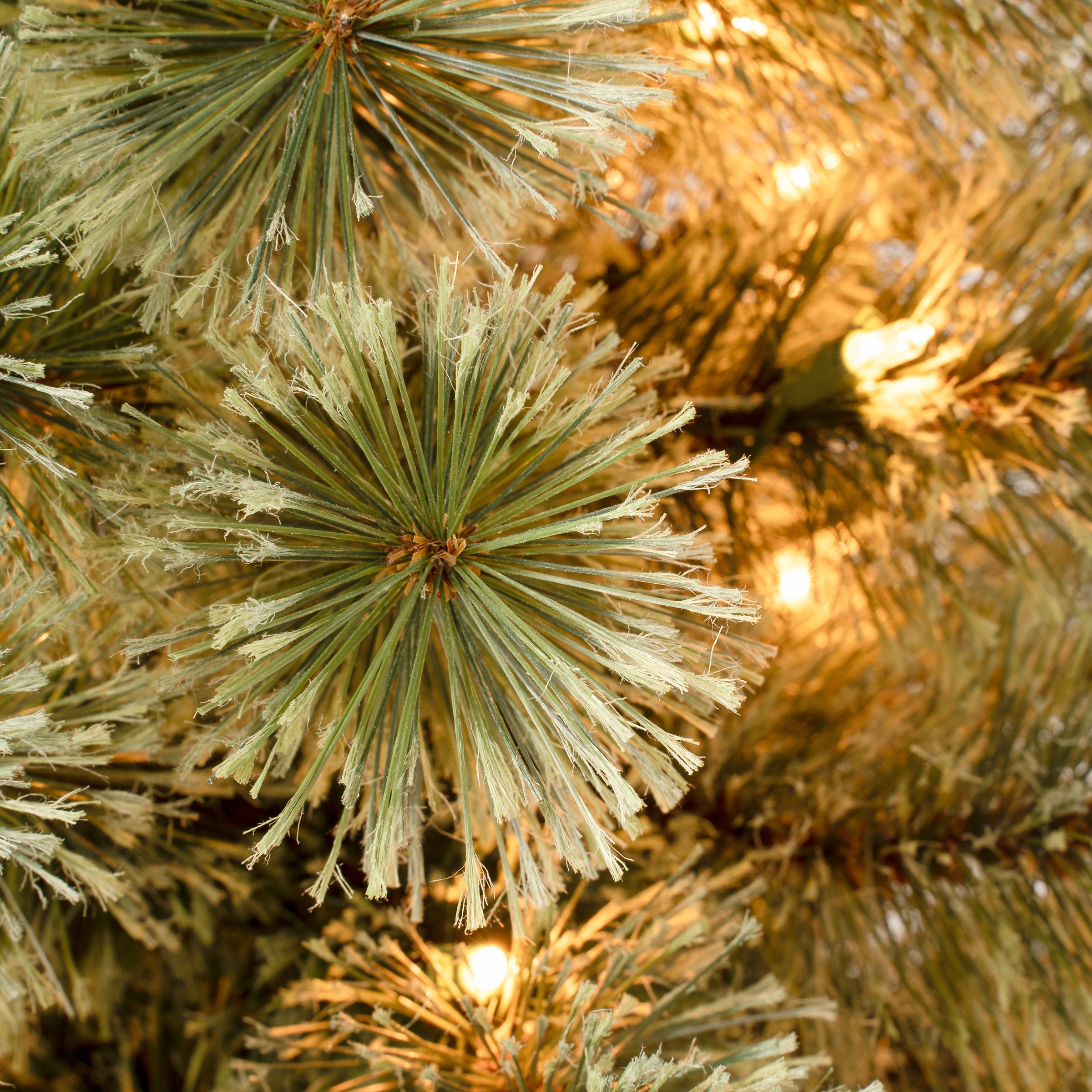 6 ft. Pre-Lit Arcadia Pine Cashmere Slim Tree with Clear Lights