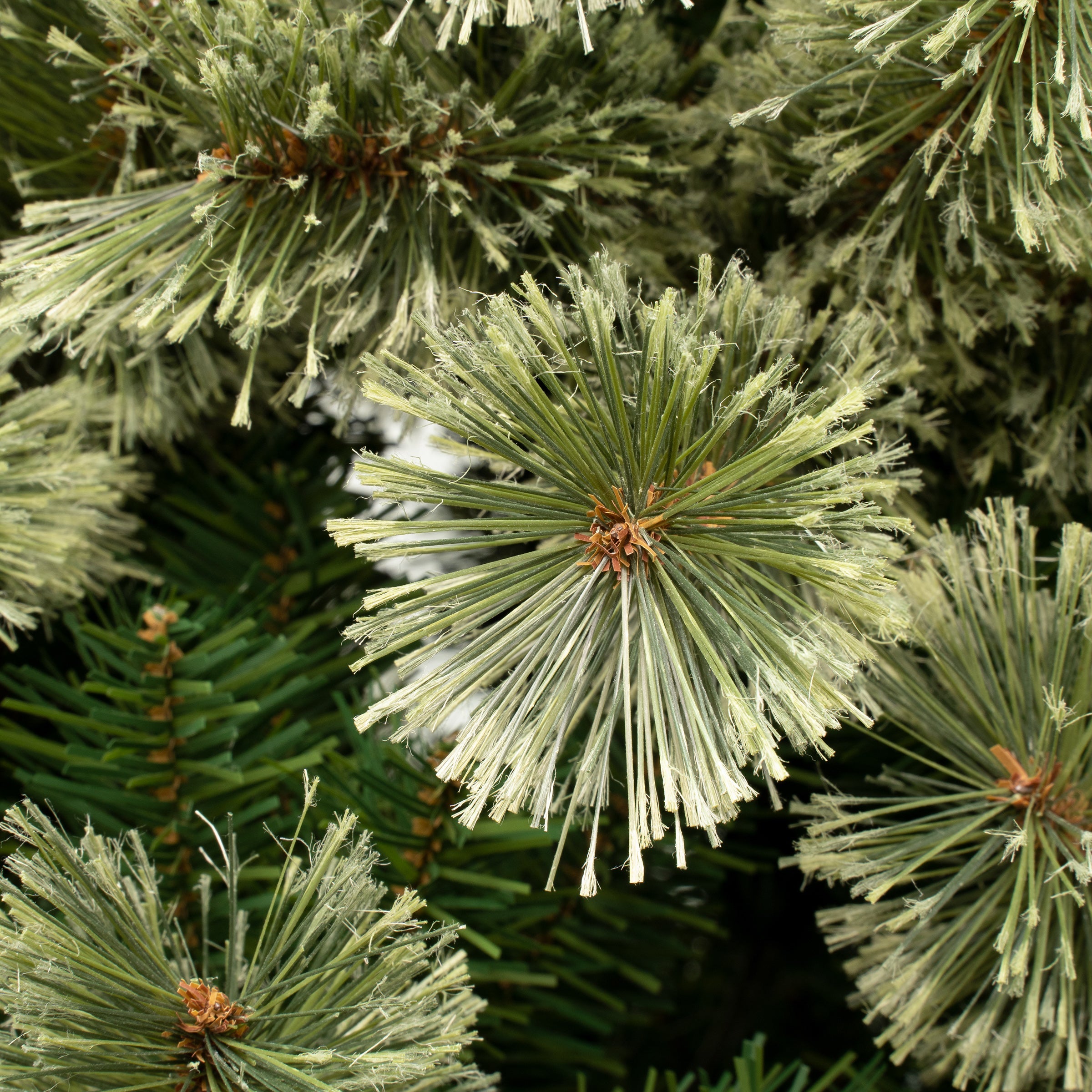 7.5 ft. Arcadia Pine Cashmere Slim Tree
