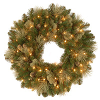 24 in. Pre-Lit Carolina Pine Wreath with Clear Lights