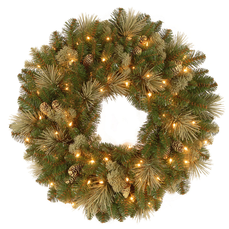 24 in. Pre-Lit Carolina Pine Wreath with Clear Lights