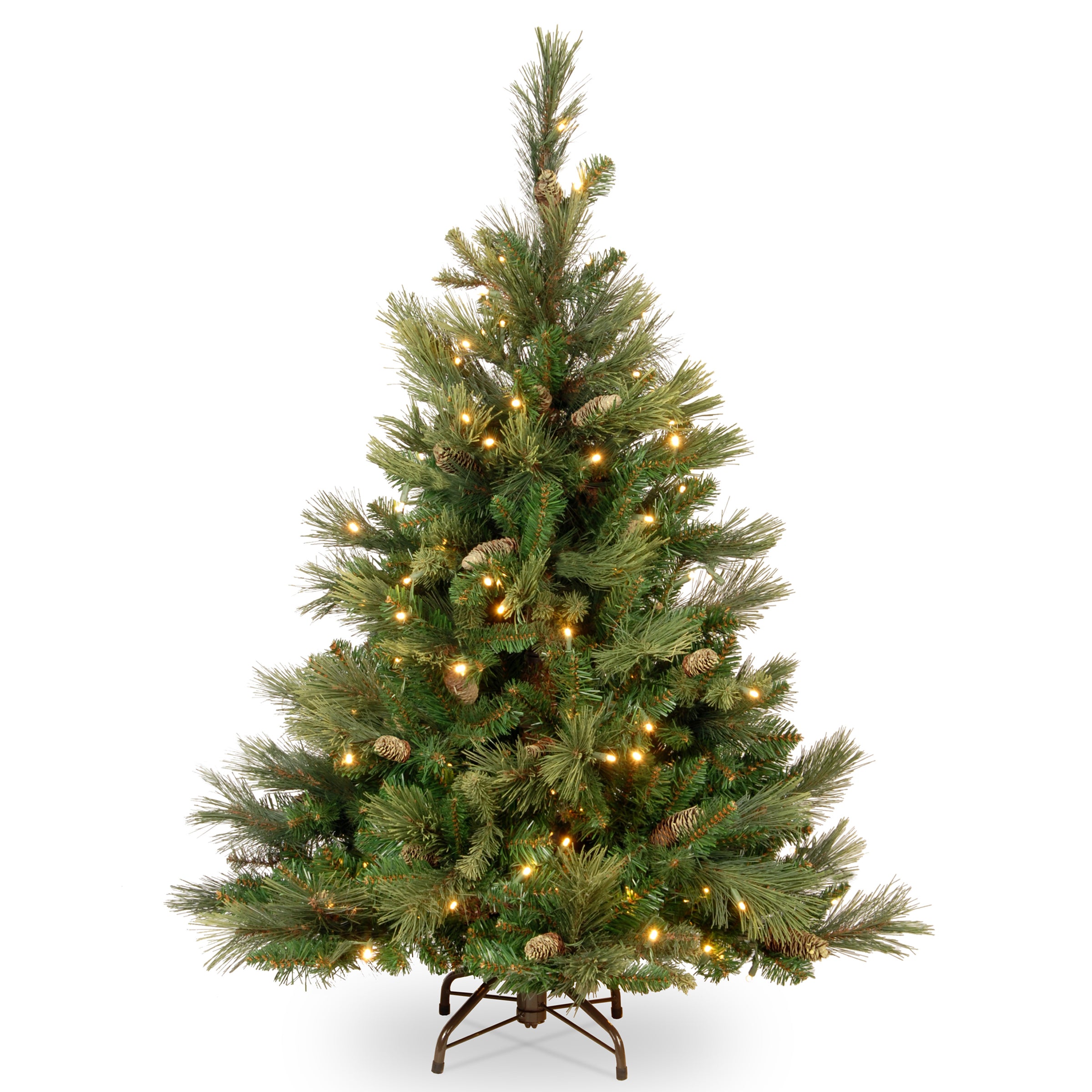 Carolina Pine Tree