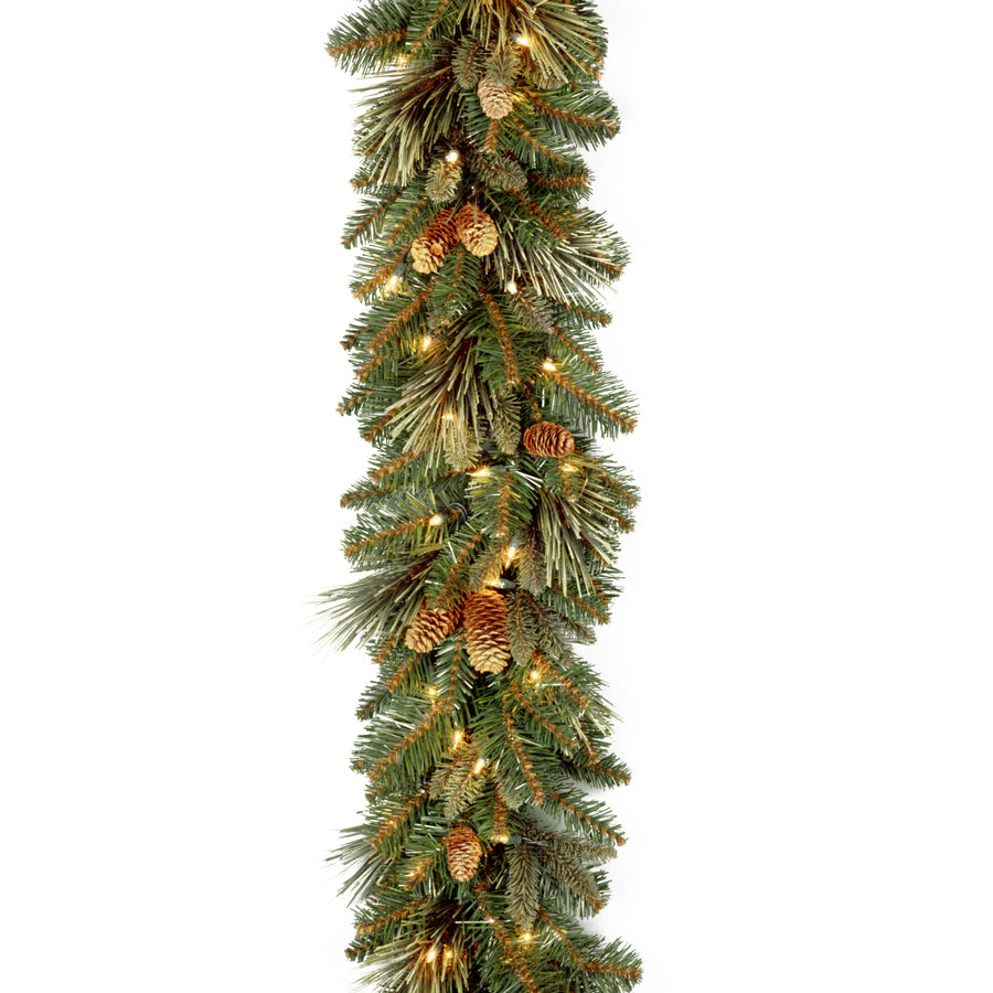 9 ft. Pre-Lit Carolina Pine Garland with Clear Lights