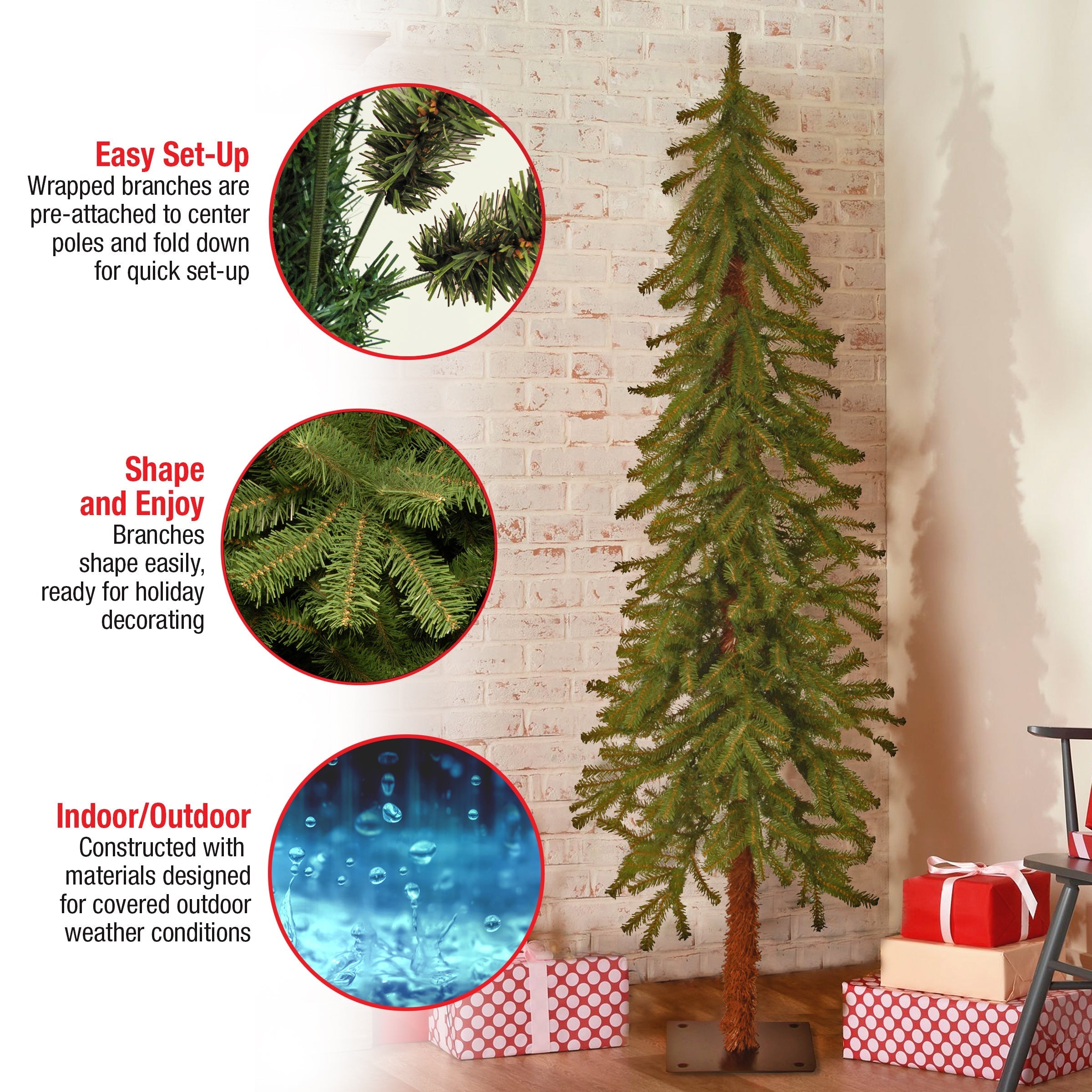 5 ft. Hickory Cedar Tree