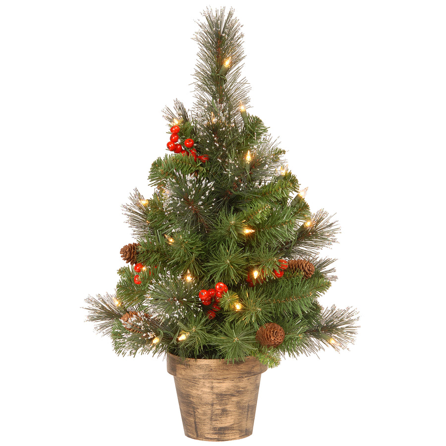 2 ft. Pre-Lit Crestwood Spruce Tree with Clear Lights