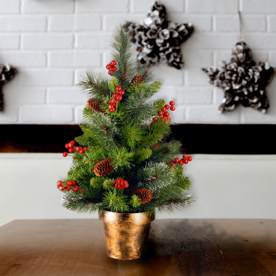 2 ft. Crestwood Spruce Tree