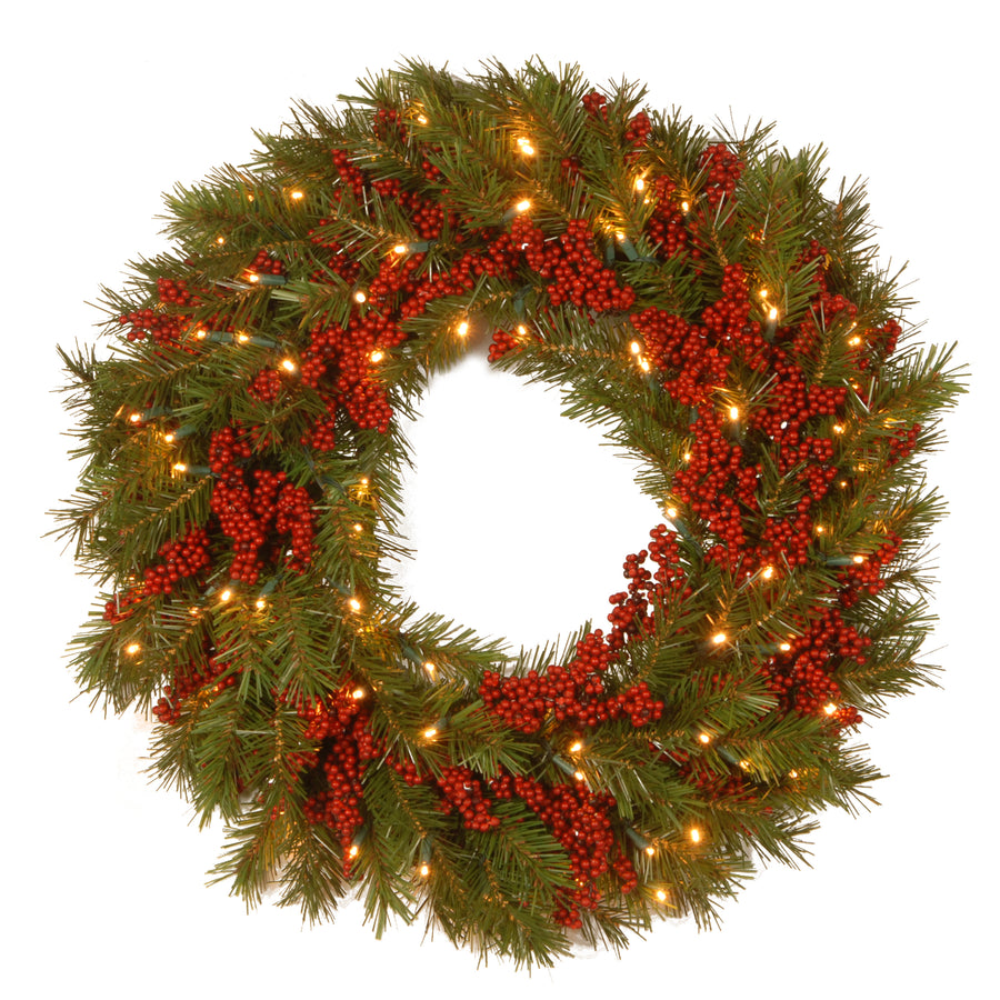 24 in. Pre-Lit Valley Pine Wreath with Warm White LED Lights