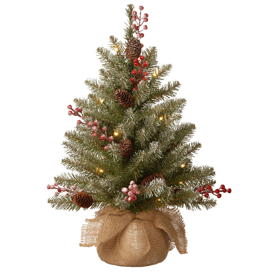 Dunhill Fir Trees