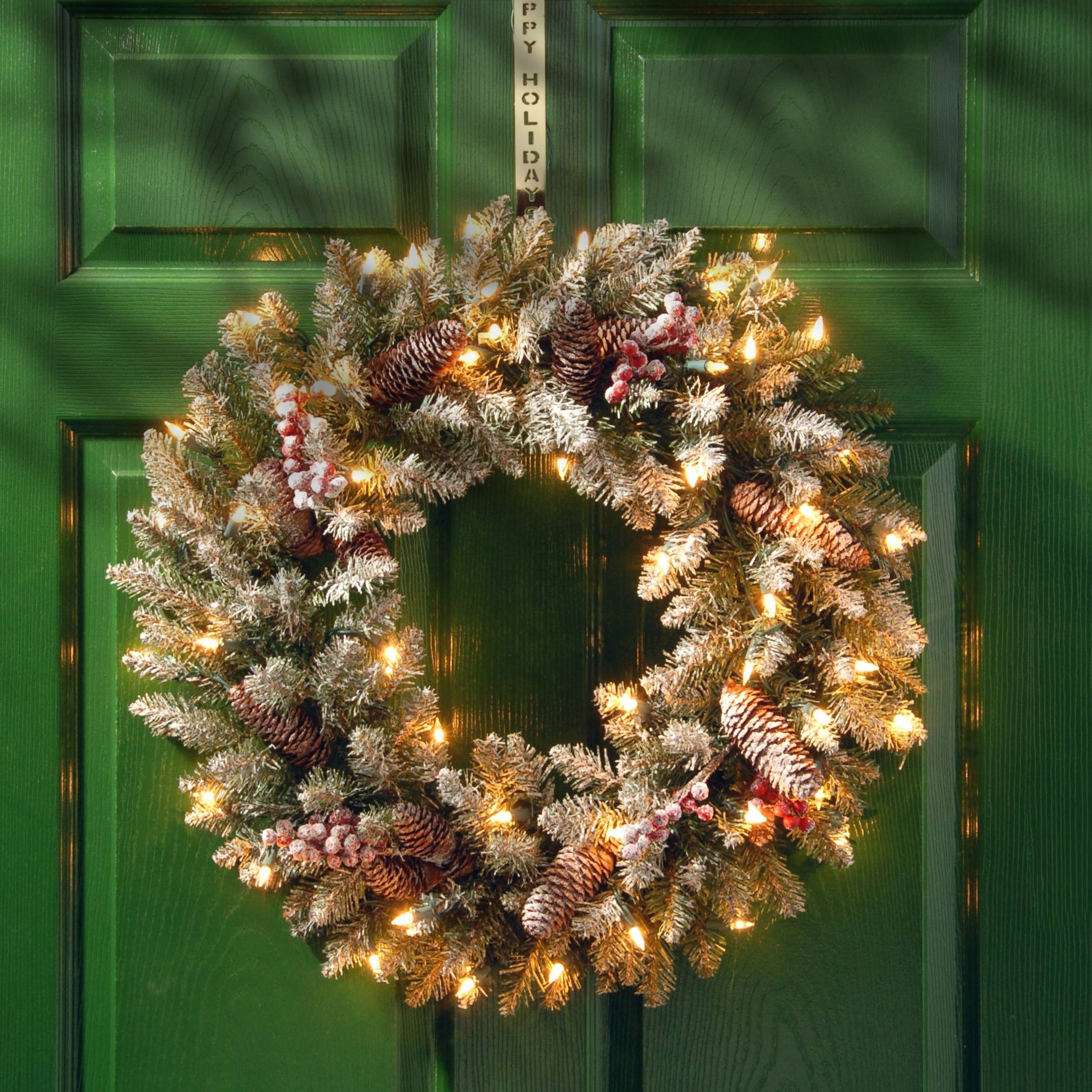 24 in. Pre-Lit Dunhill Fir Wreath with Clear Lights