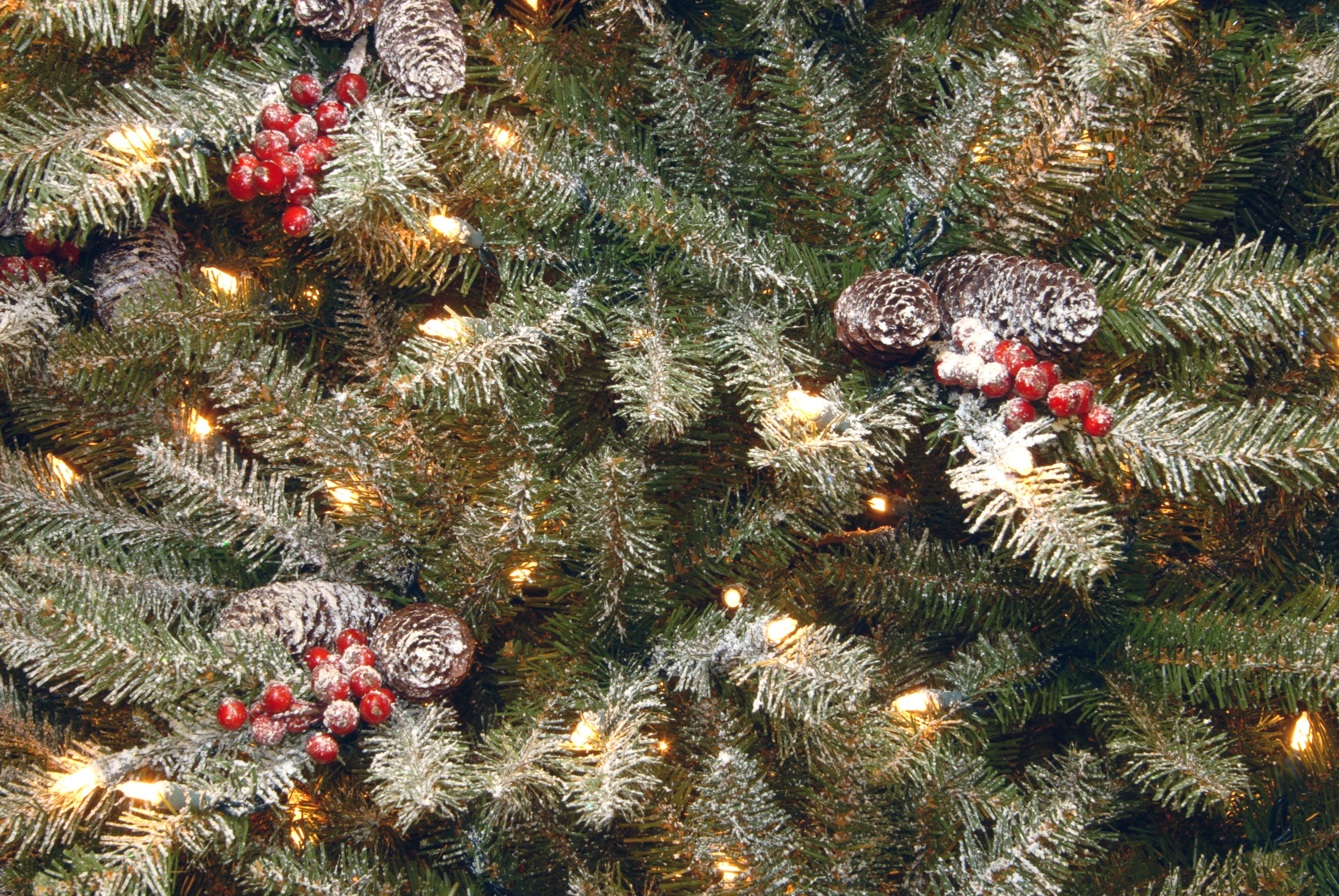 4.5 ft. Pre-Lit Dunhill Fir Frosted Tree with Clear Lights