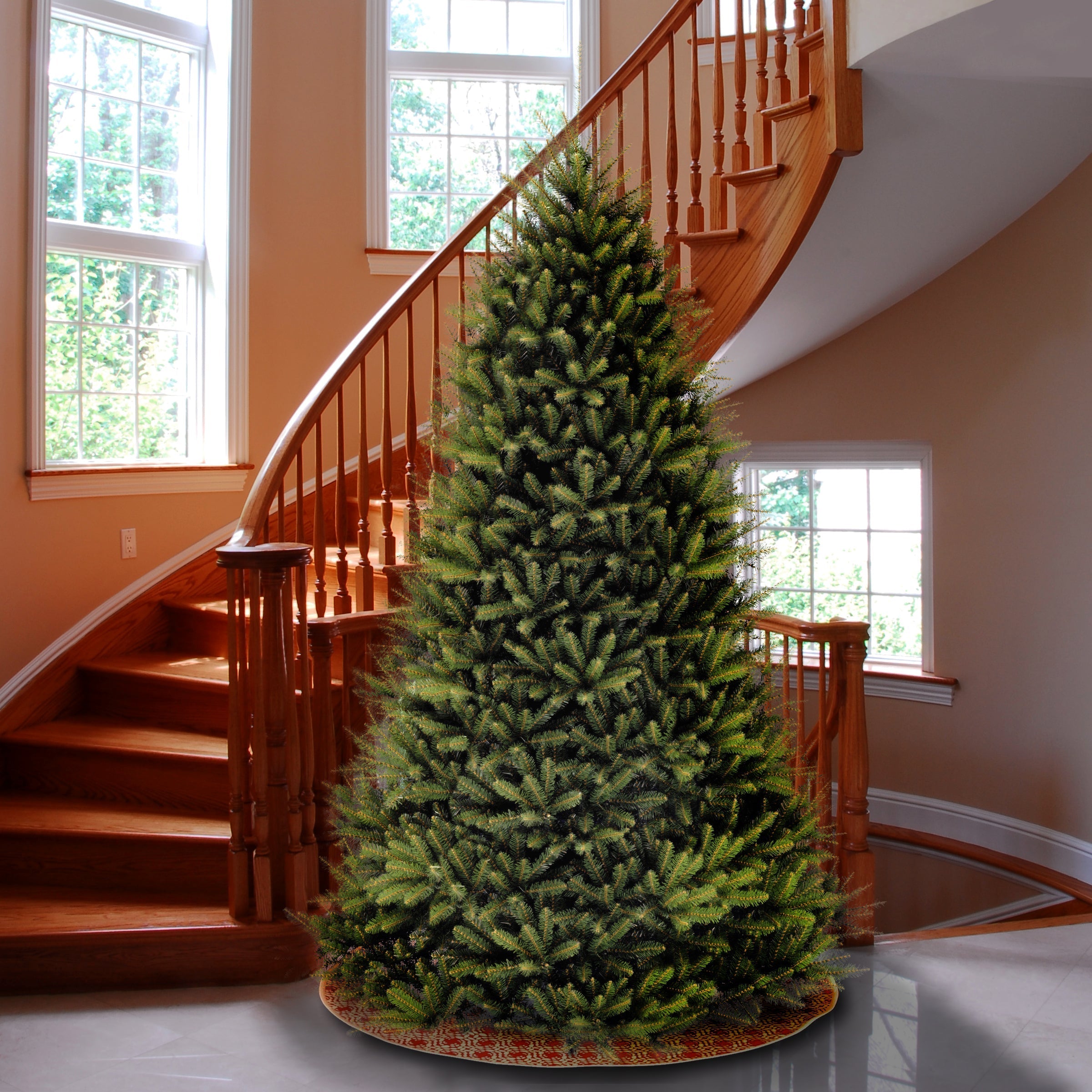 10 ft. Dunhill Fir Tree