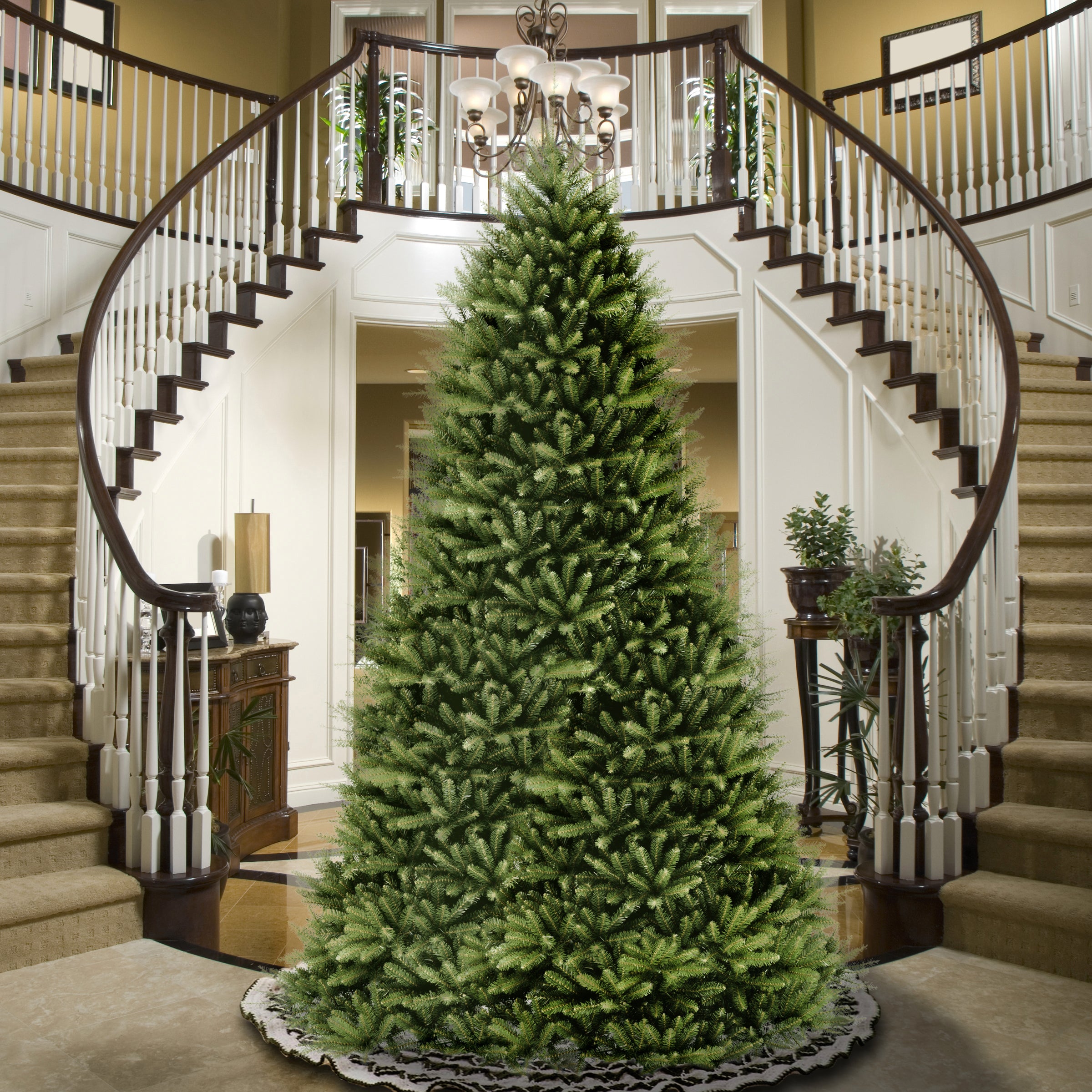 12 ft. Dunhill Fir Tree