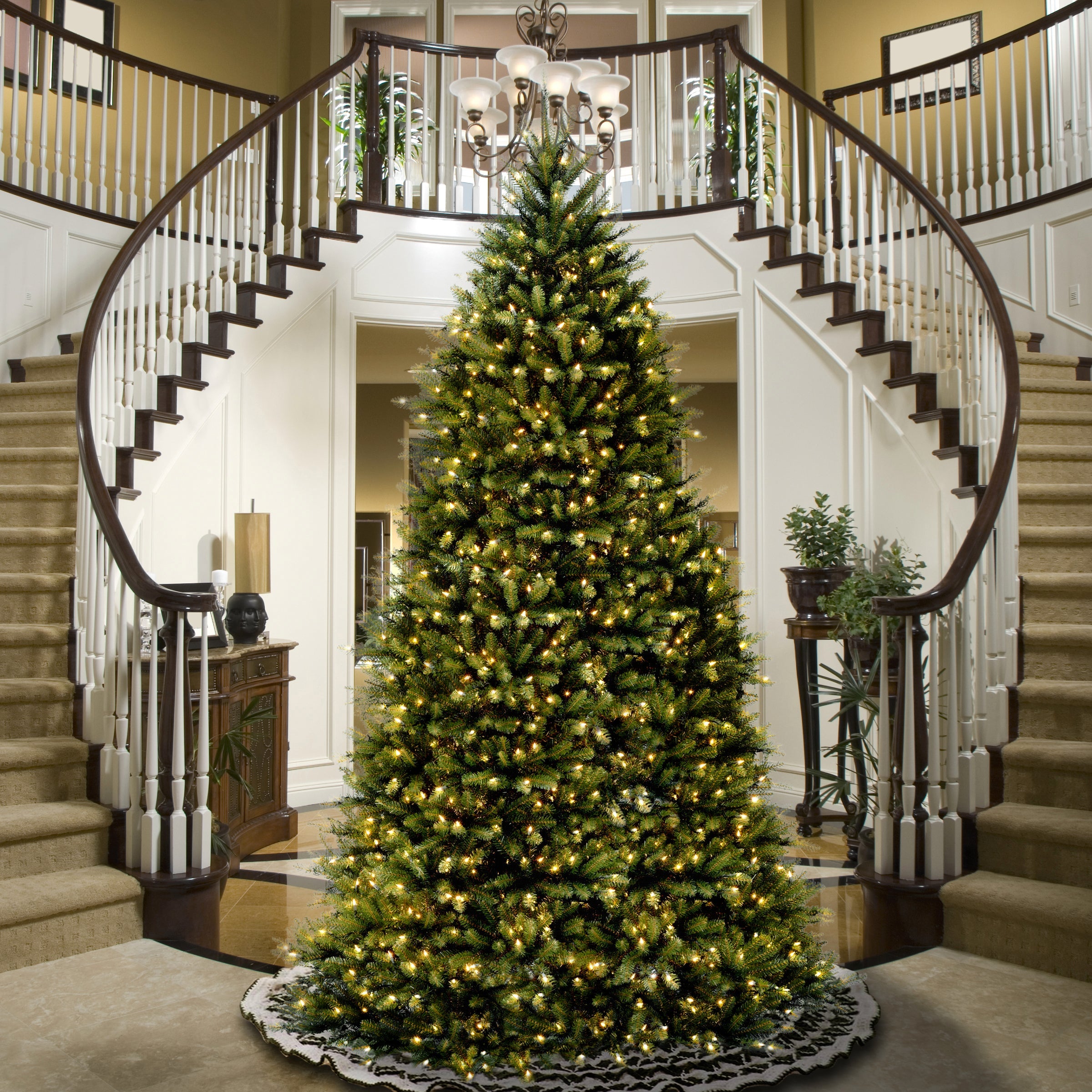 14 ft. Dunhill Fir Tree
