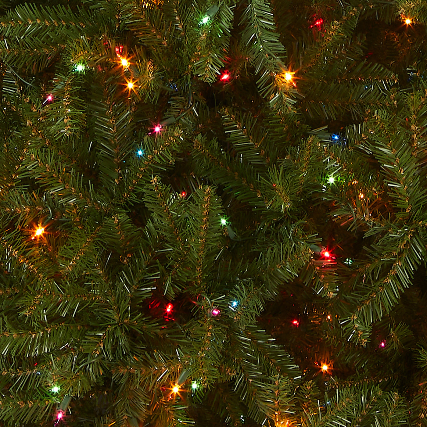 6.5 ft. Pre-Lit Dunhill Fir Tree with Multicolor Lights