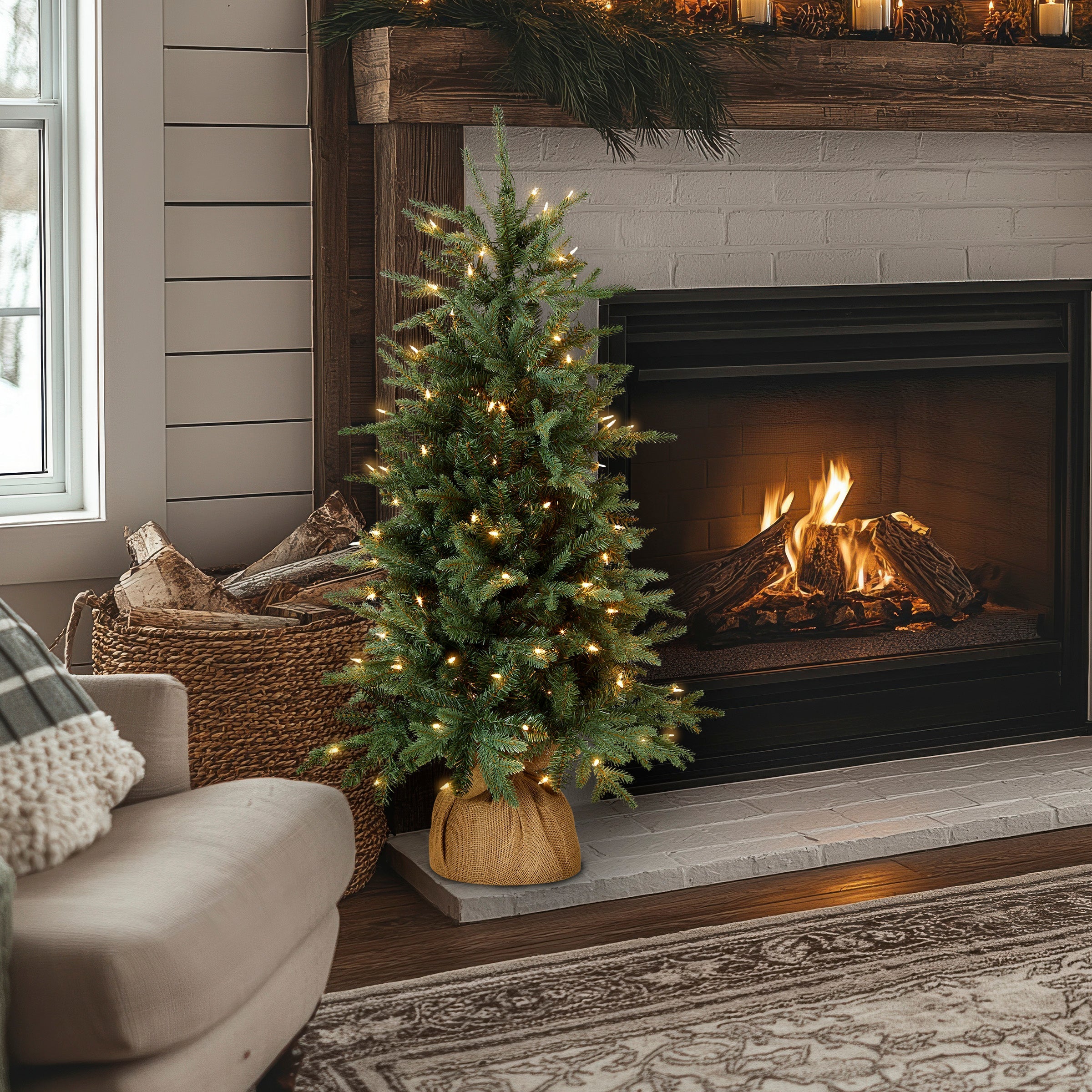 4 ft. Pre-Lit Everyday Collection Tree with Clear Lights