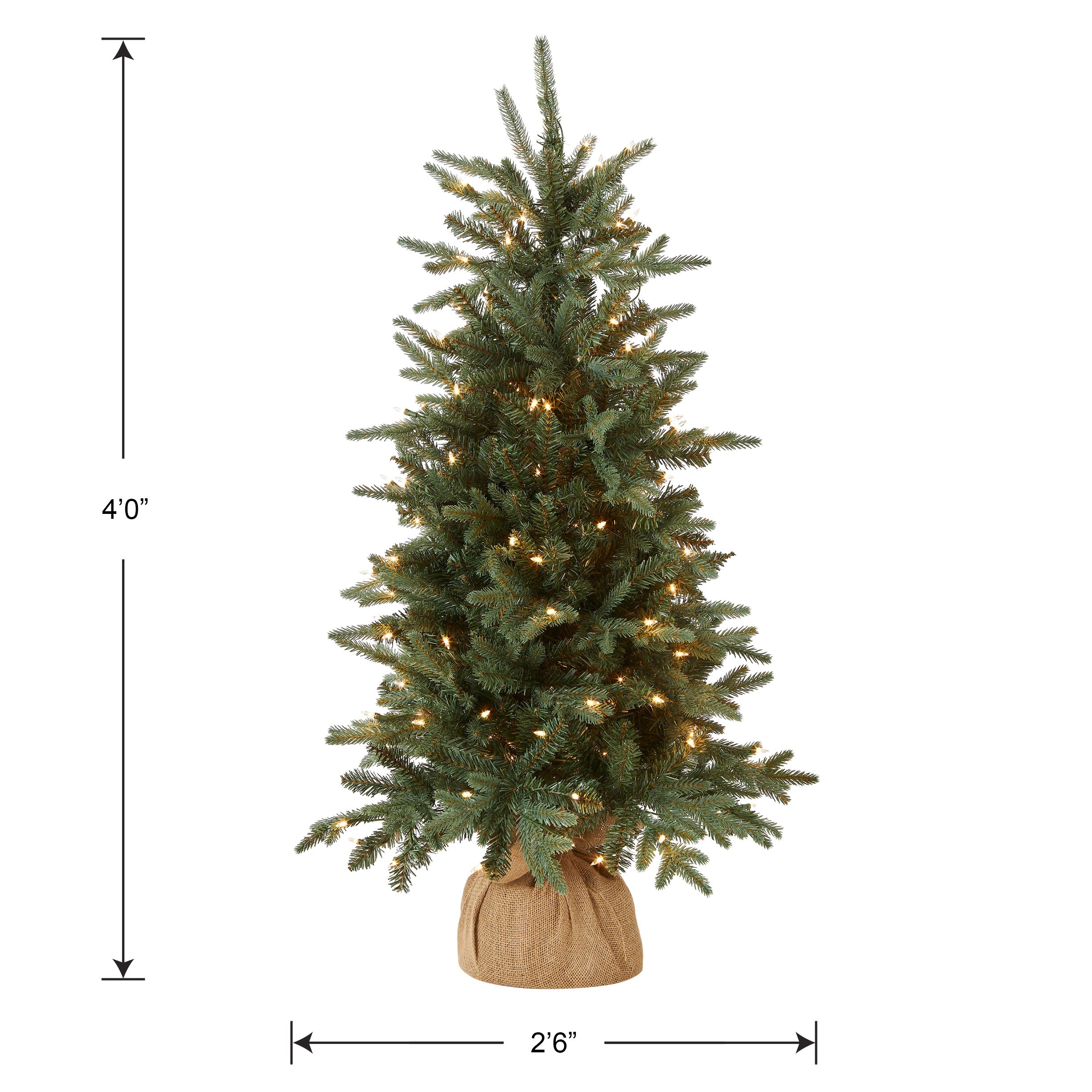 4 ft. Pre-Lit Everyday Collection Tree with Clear Lights