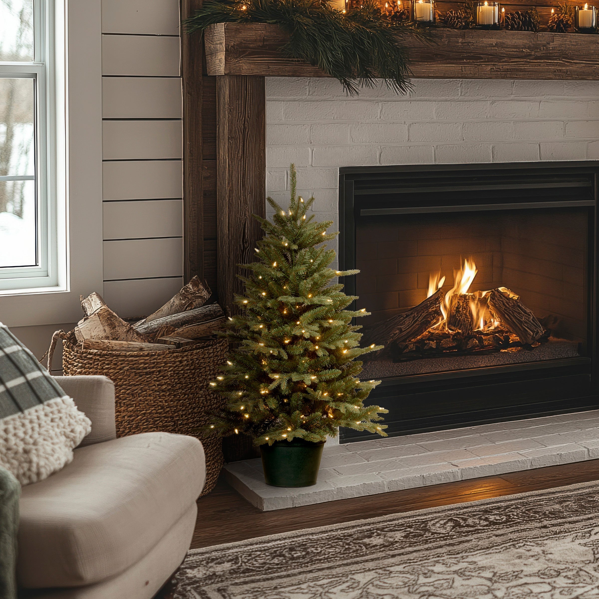 3 ft. Pre-Lit Everyday Collection Tree with Clear Lights