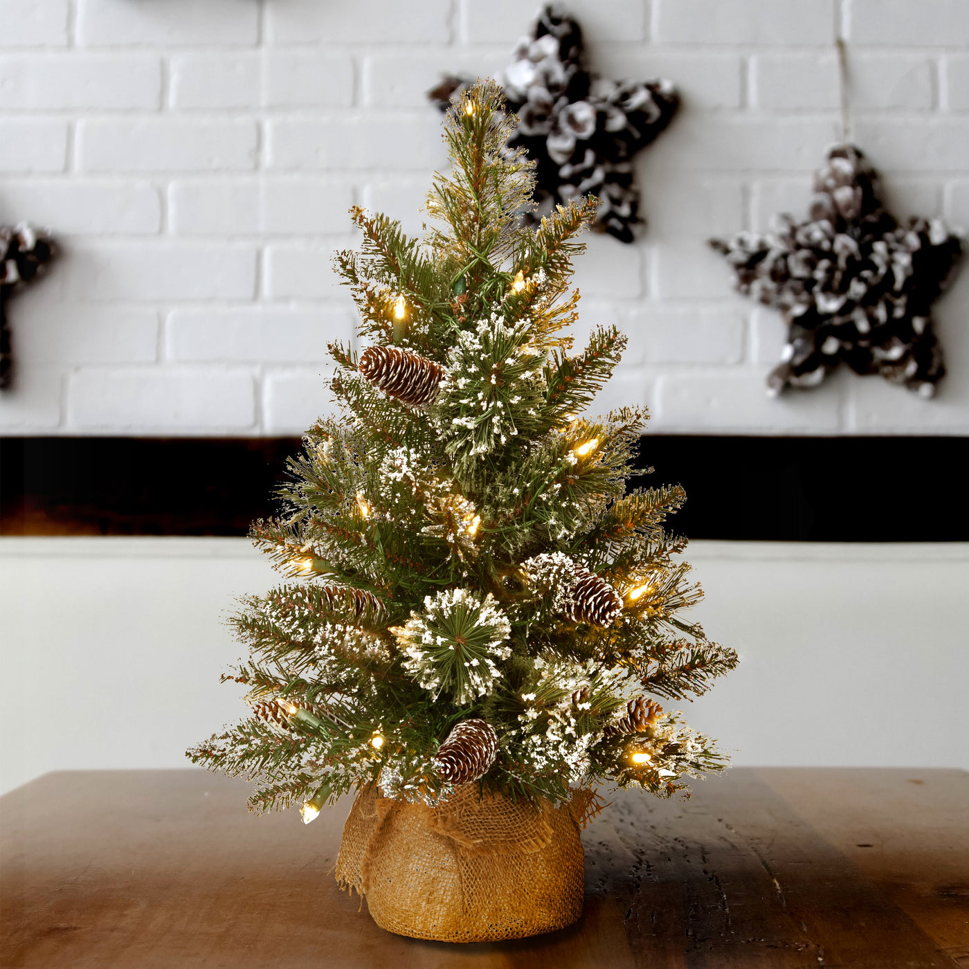2 ft. Pre-Lit Glittery Bristle Tree with LED Lights