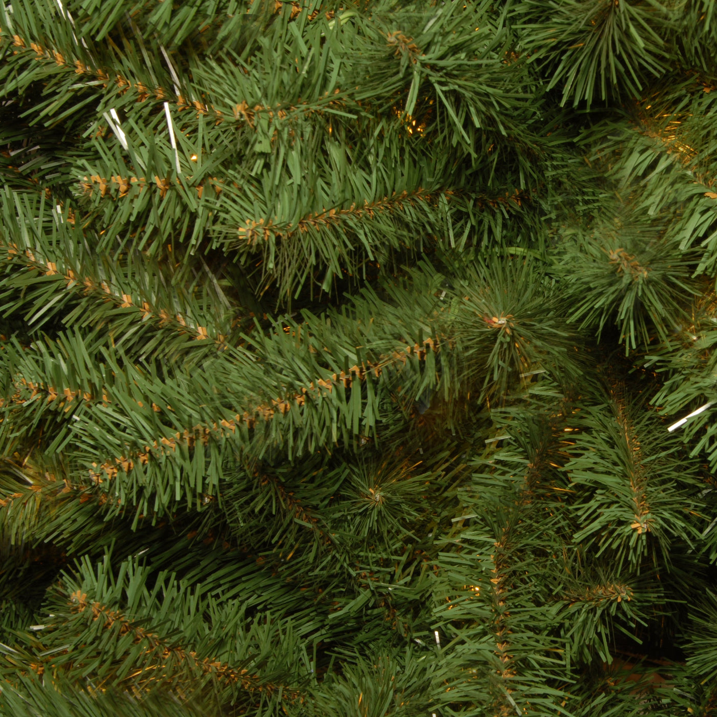 3 ft. Kincaid Spruce Tree