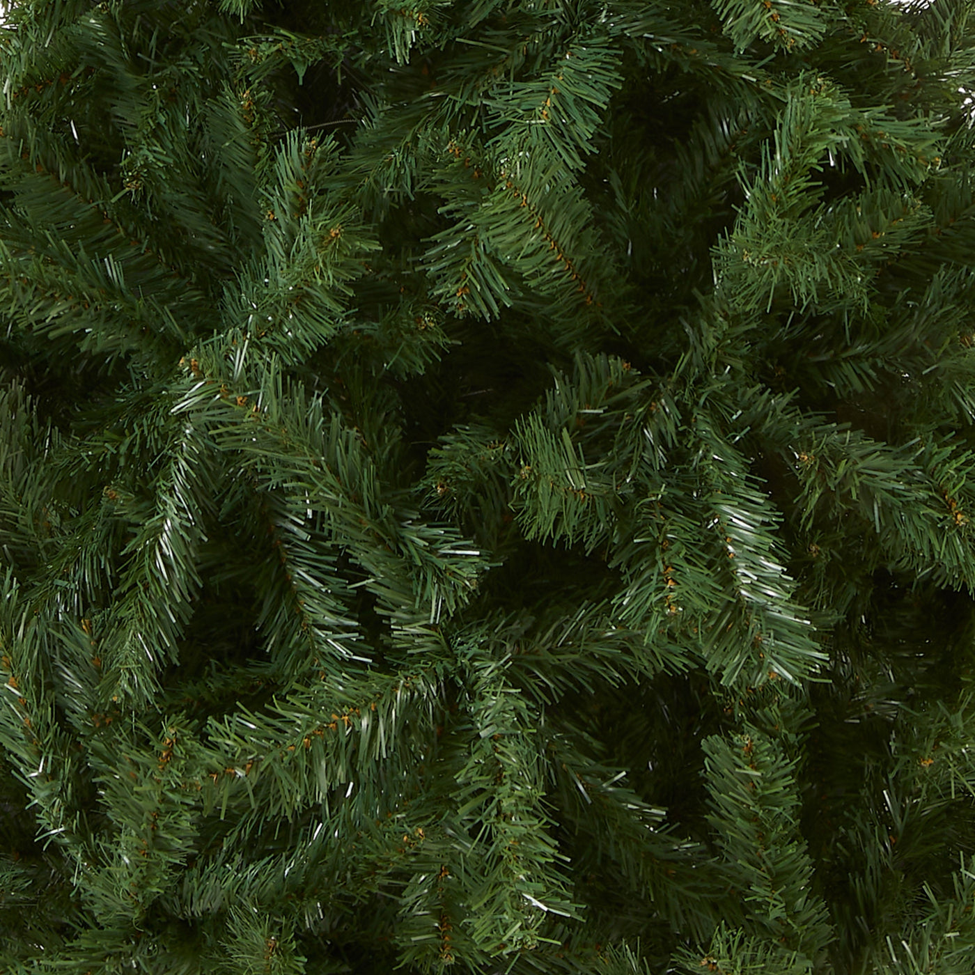 6 ft. Kincaid Spruce Tree
