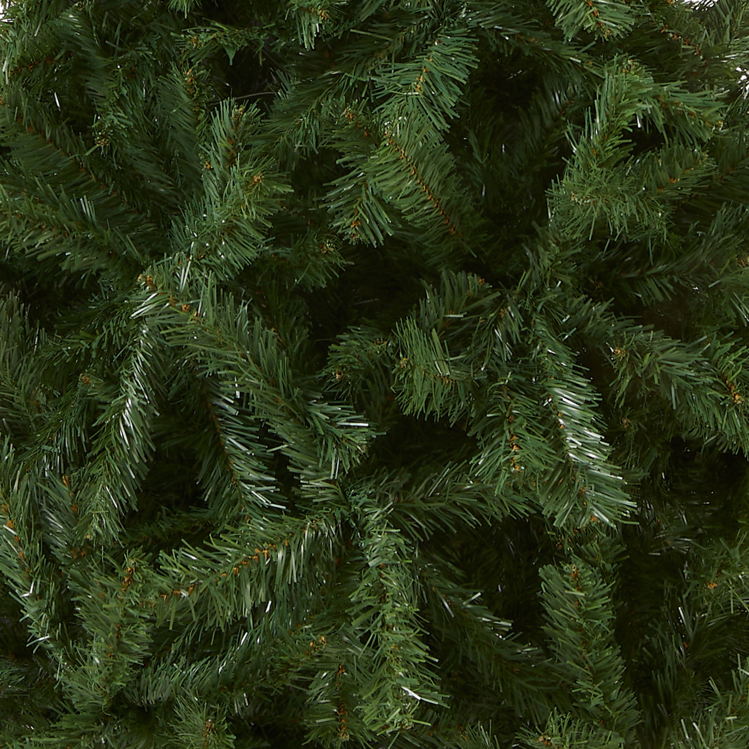 6 ft. Kincaid Spruce Tree