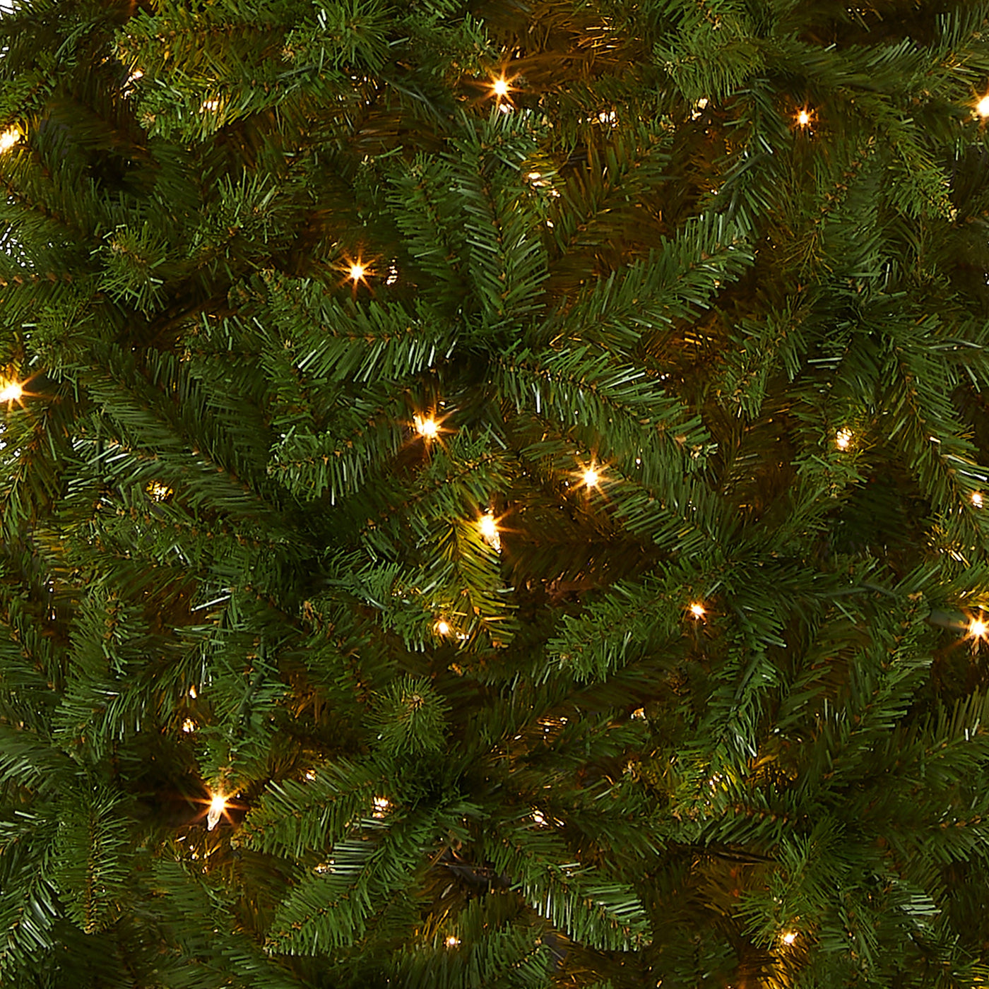 6.5 ft. Pre-Lit Kingswood Fir Pencil Tree with Clear Lights