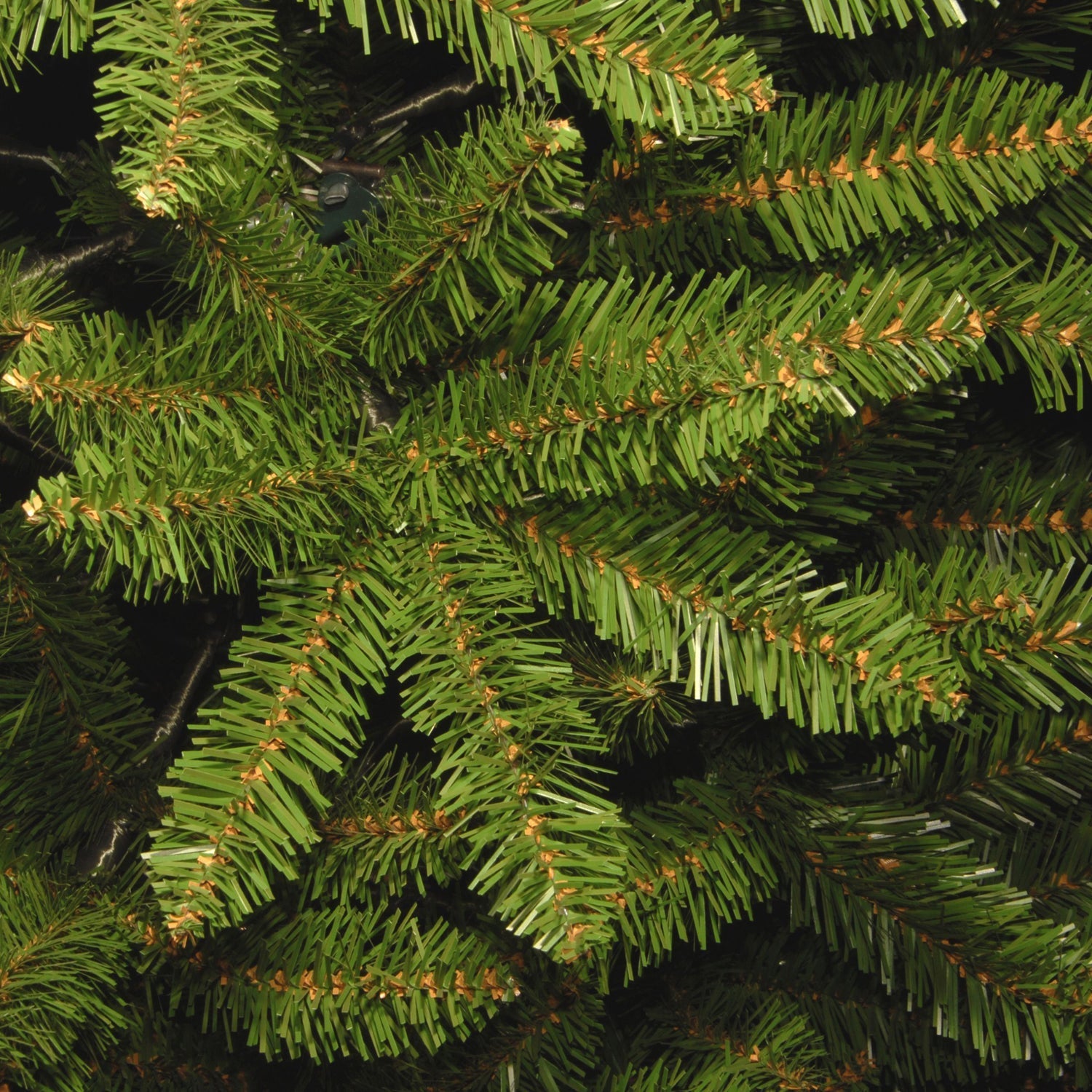 10 ft. Kingswood Fir Pencil Slim Tree