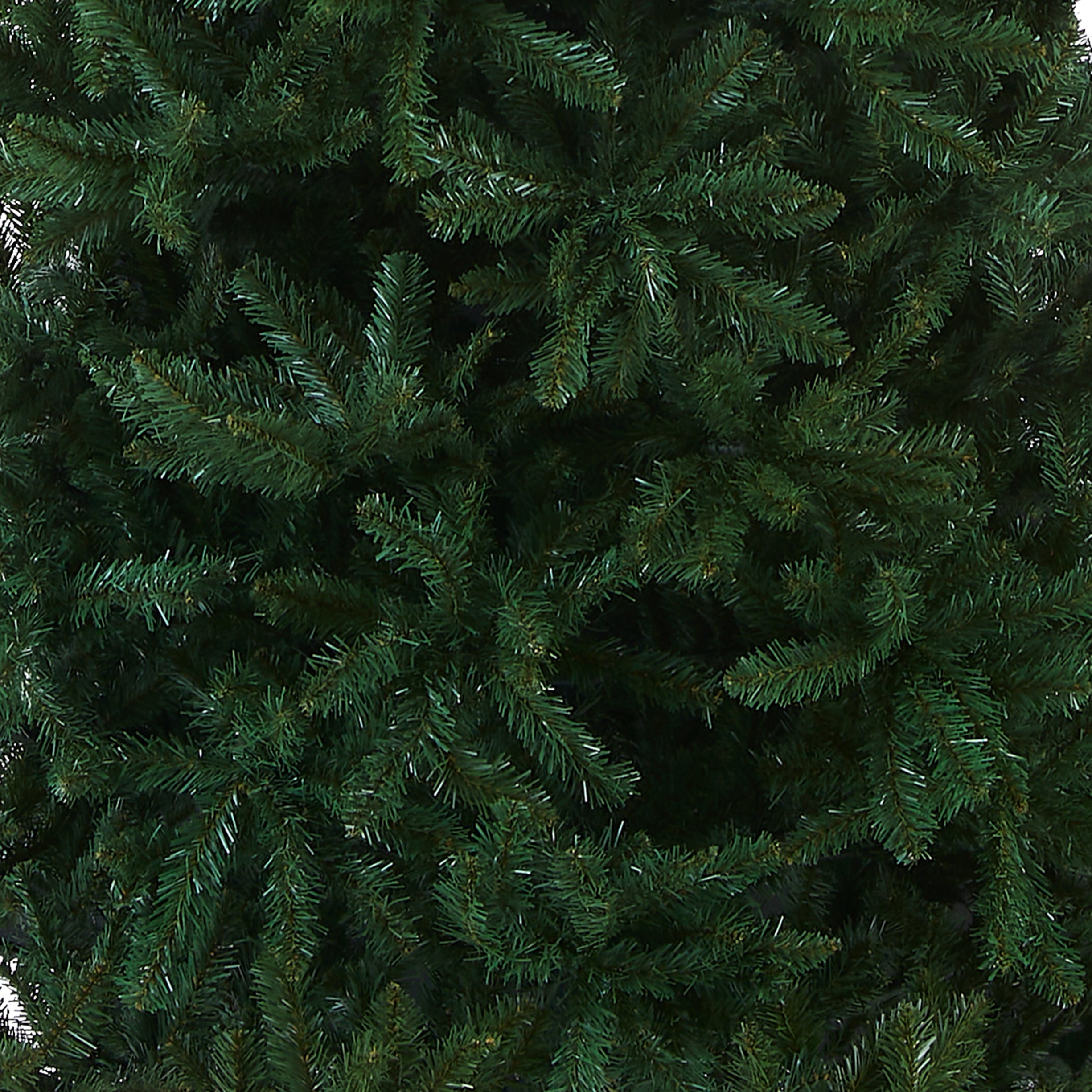 12 ft. Kingswood Fir Pencil Slim Tree