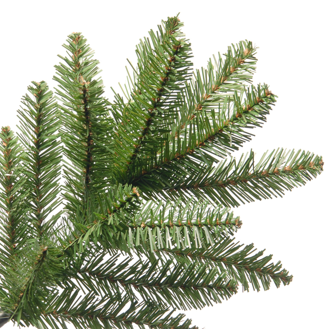 6 ft. Kingswood Fir Pencil Tree