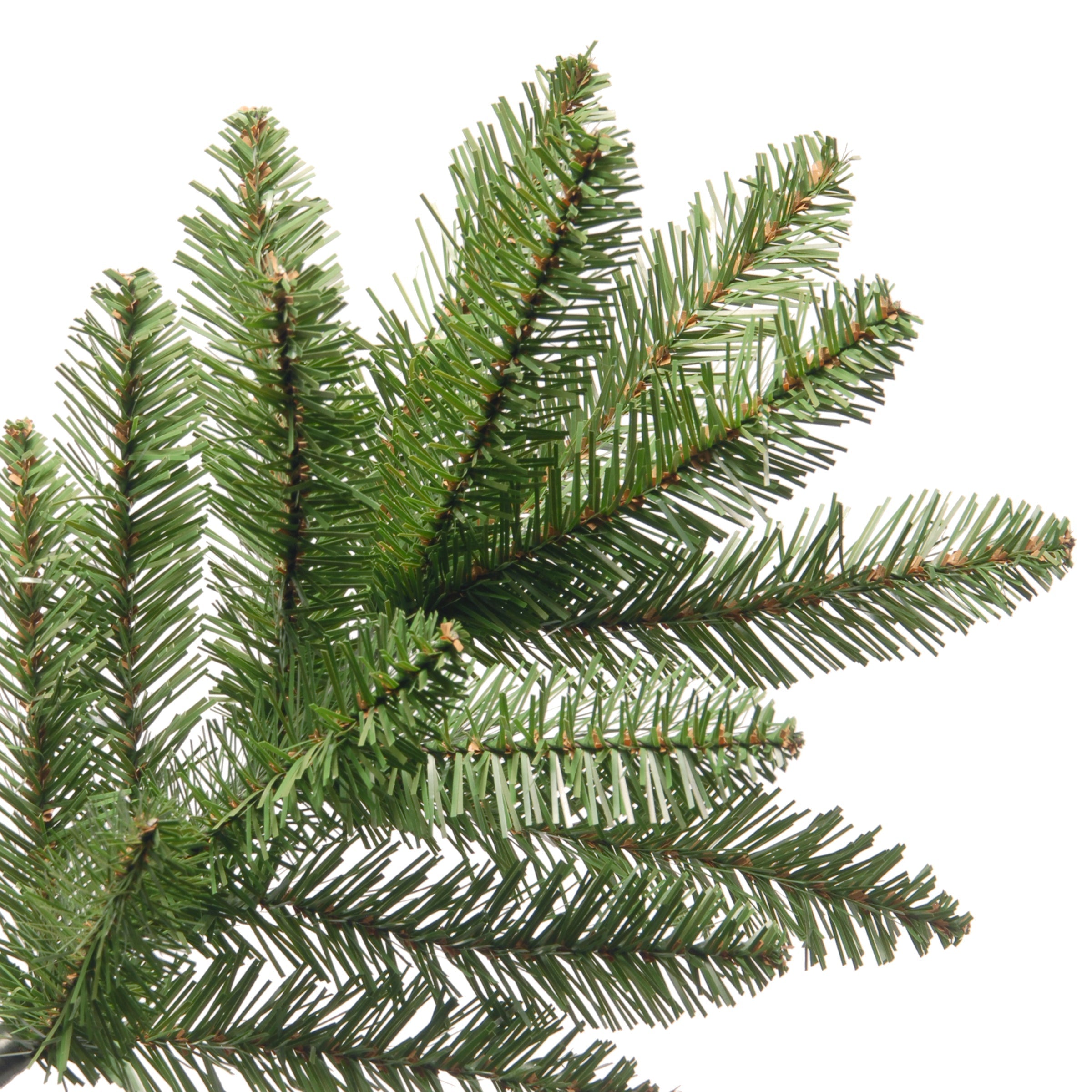 6 ft. Kingswood Fir Pencil Tree