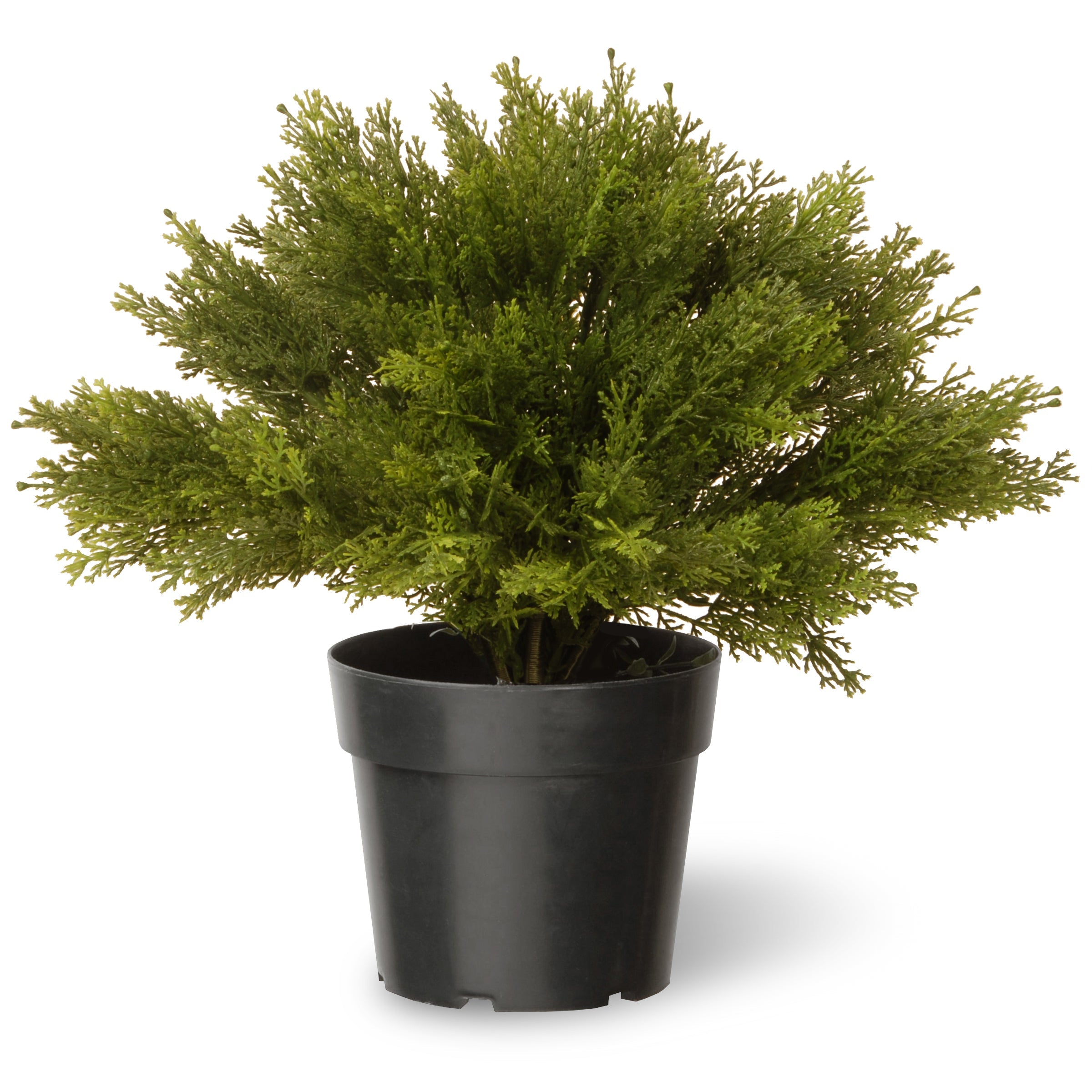 15" Artificial Globe Juniper