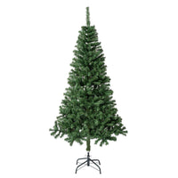 6 ft. Linden Spruce Tree