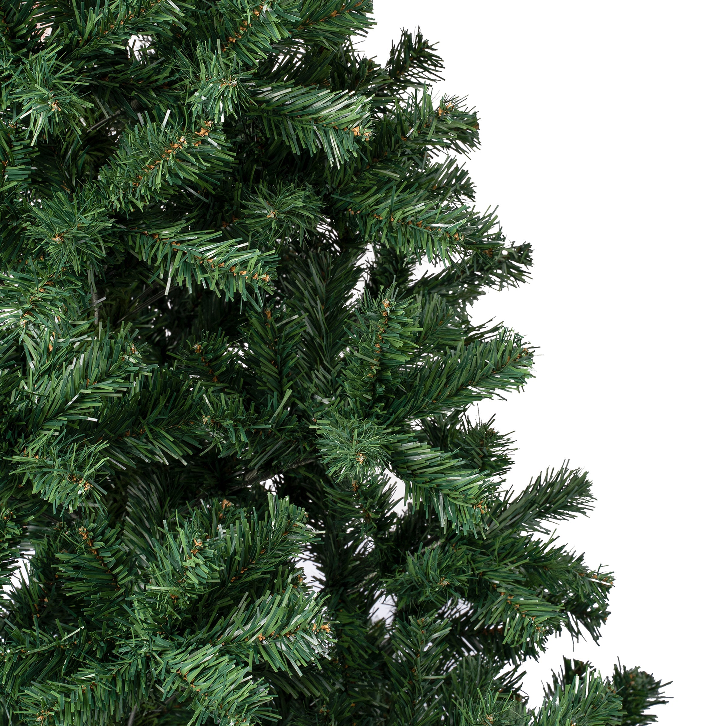 6 ft. Linden Spruce Tree