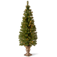 5 ft. Pre-Lit Montclair Spruce Tree with Clear Lights