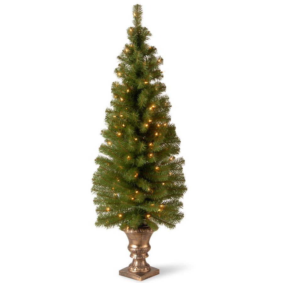 5 ft. Pre-Lit Montclair Spruce Tree with Clear Lights