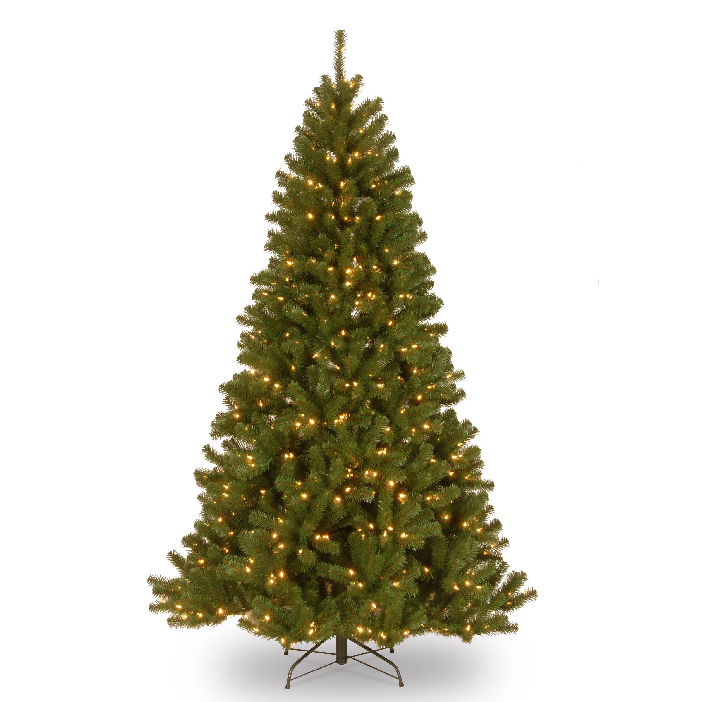 North Valley Spruce Trees