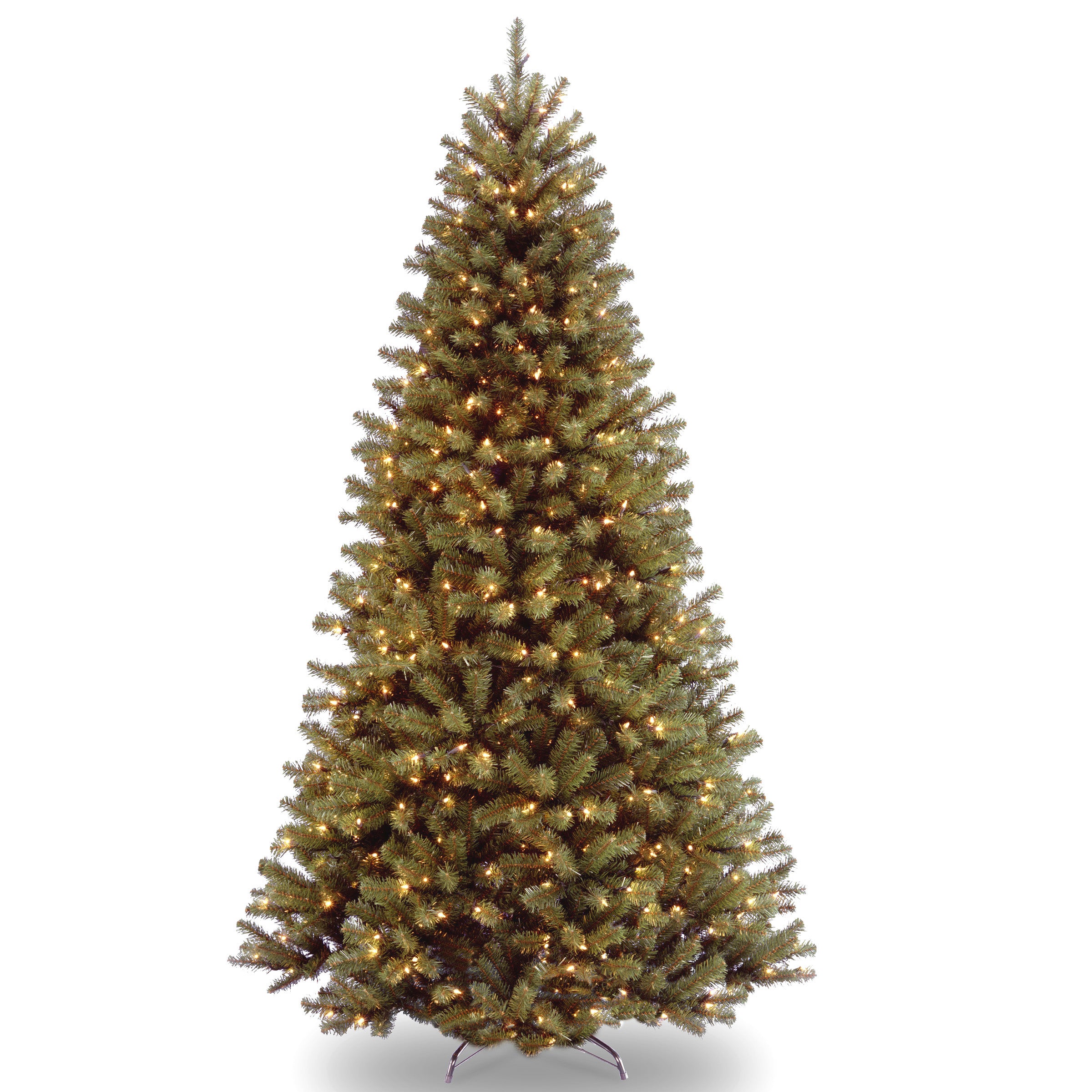 North Valley Spruce Trees