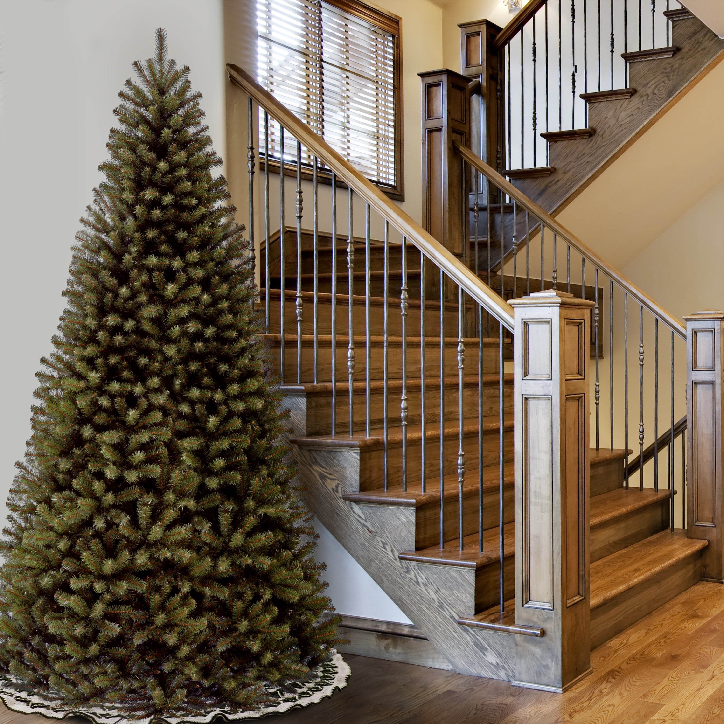10 ft.  North Valley Spruce Tree