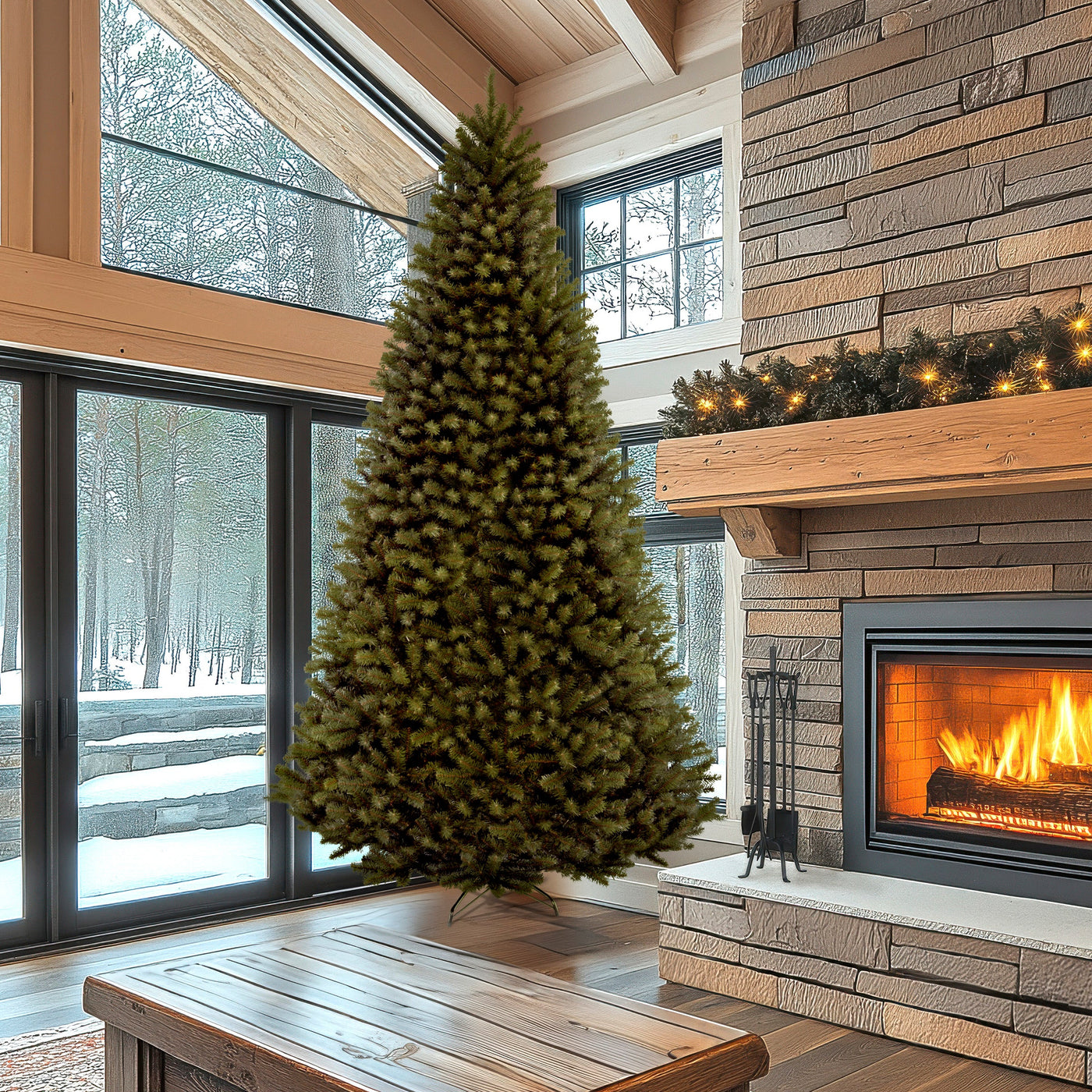 12 ft. North Valley Spruce Tree