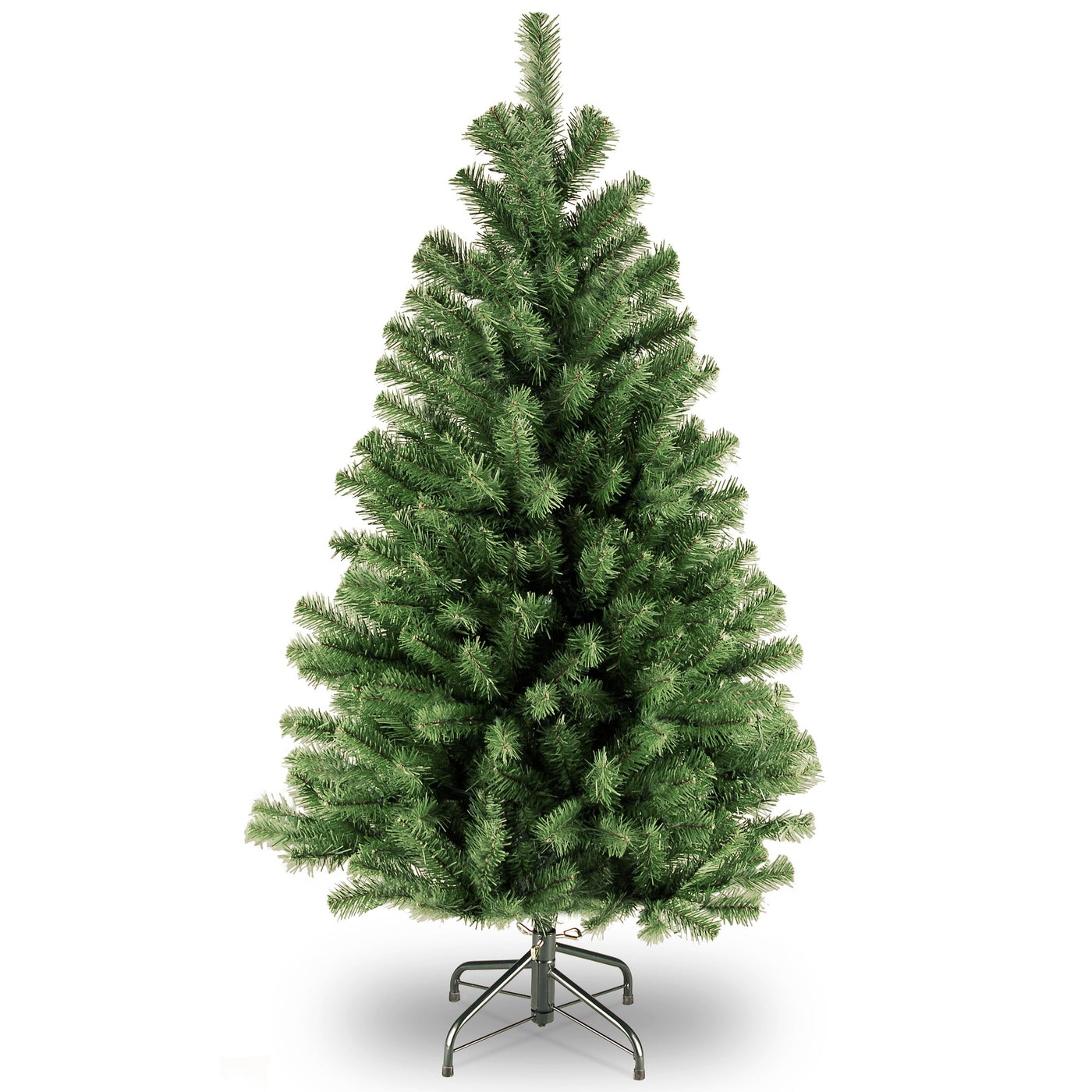 North Valley Spruce Trees